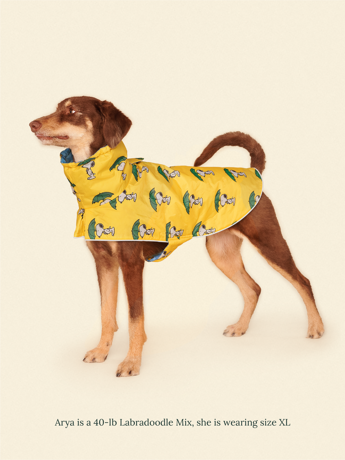 Little Beast Dog Raincoat Peanut Raincoat - Yellow