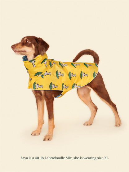 Little Beast Dog Raincoat Peanut Raincoat - Yellow