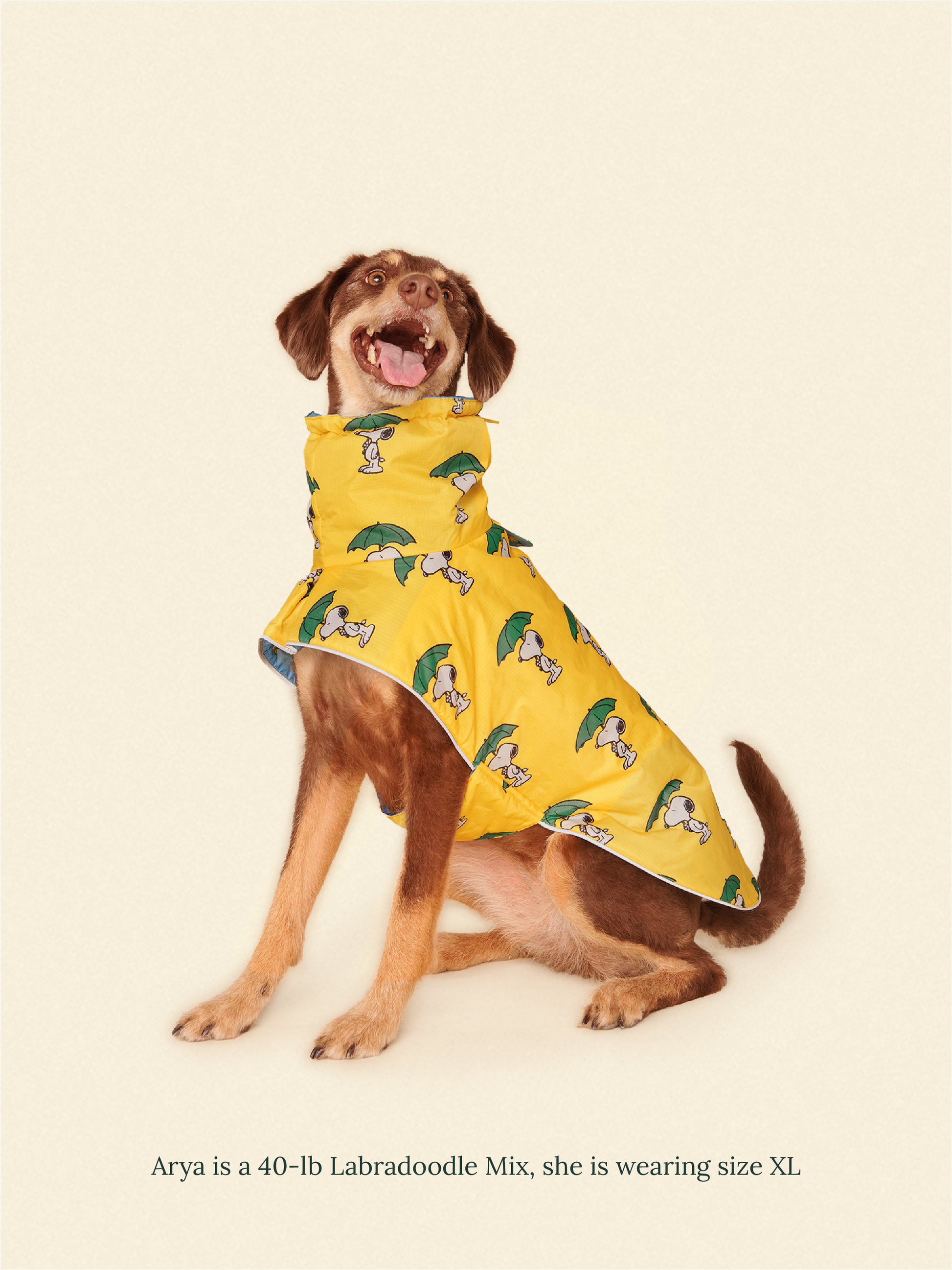Little Beast Dog Raincoat Peanut Raincoat - Yellow