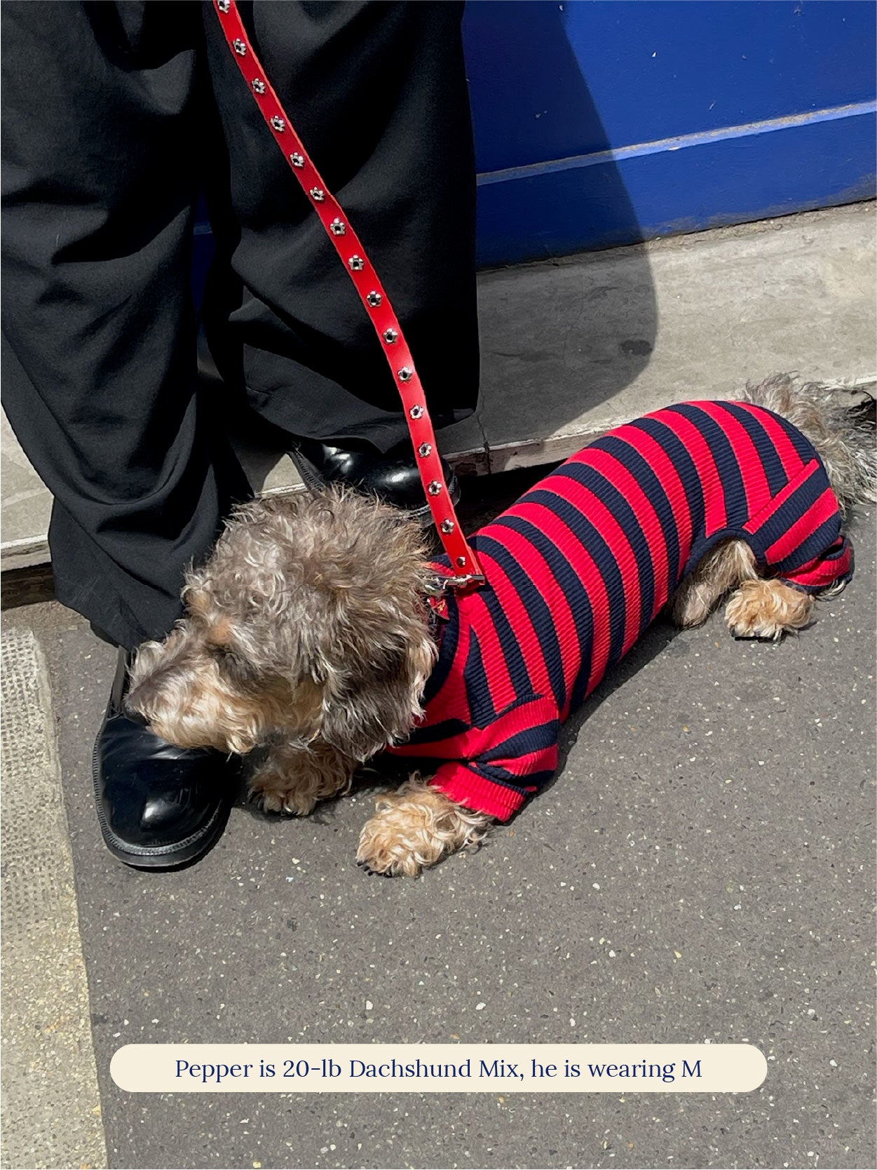 Little Beast Dog Onesie Red & Black Onesie - FW25