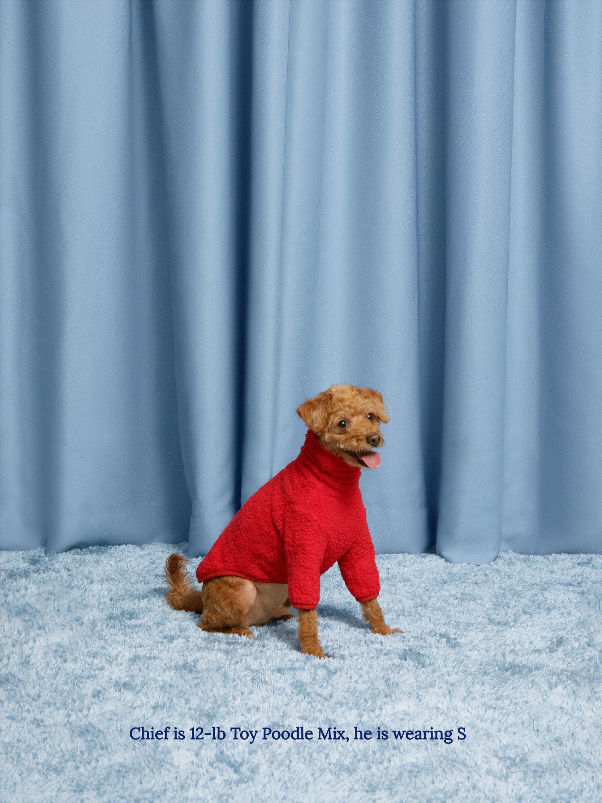 Little Beast Dog Fleece Shirt red fleece shirt