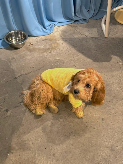 Little Beast Dog Fleece Shirt Rubber Ducky Fleece Shirt