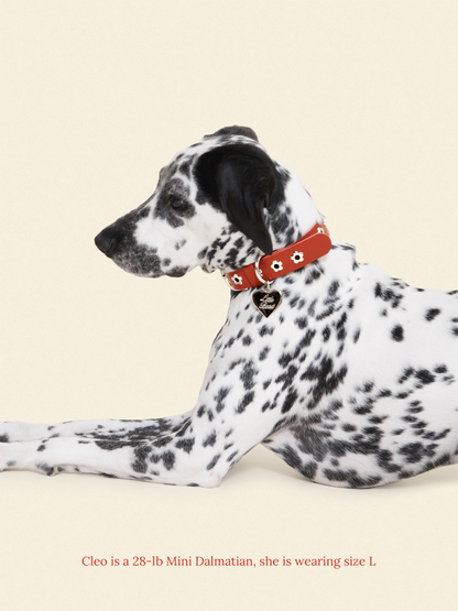Little Beast Dog Collar Ruby - Flower Power Collar