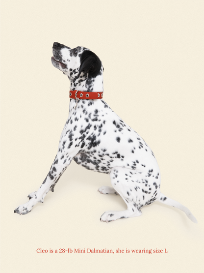 Little Beast Dog Collar Ruby - Flower Power Collar