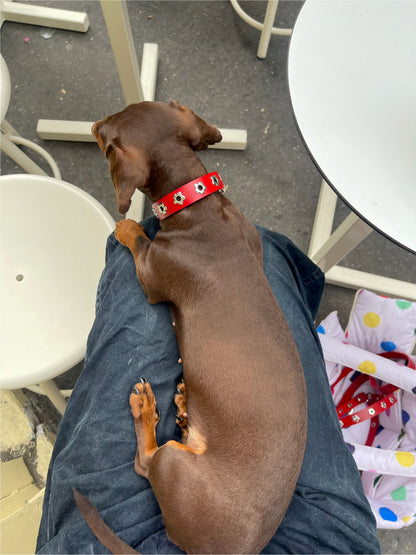 Little Beast Dog Collar Ruby - Flower Power Collar
