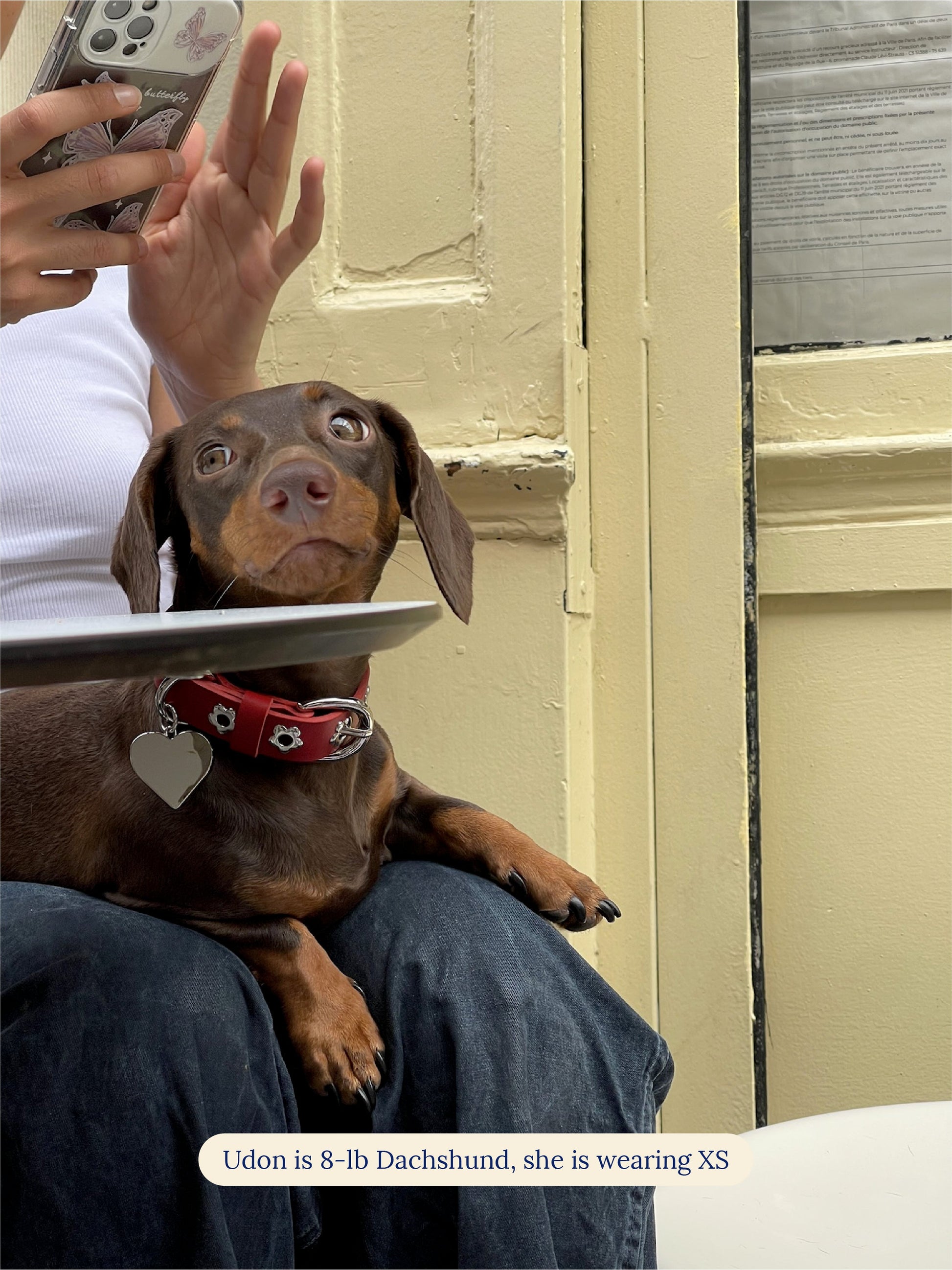 Little Beast Dog Collar Ruby - Flower Power Collar