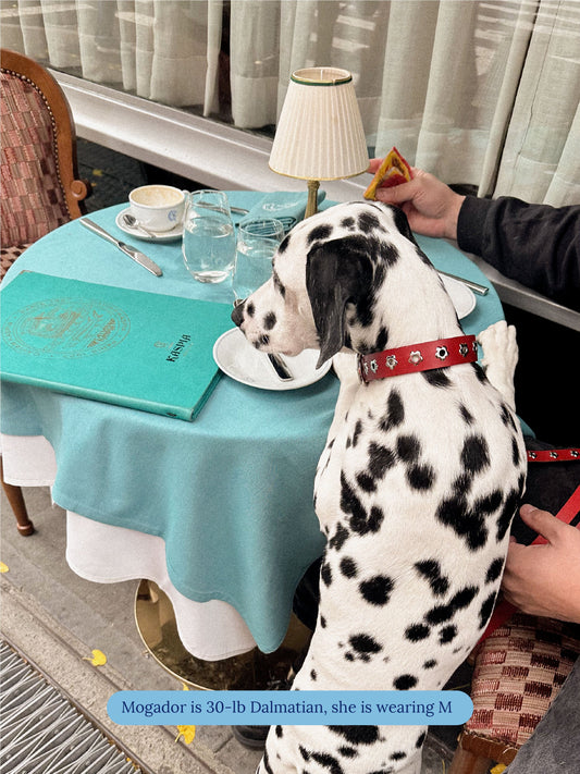 Little Beast Dog Collar Ruby - Flower Power Collar