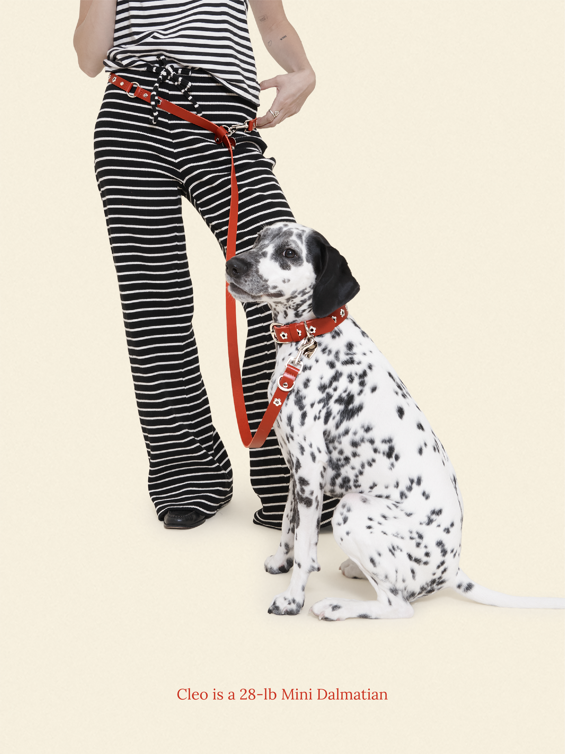 Little Beast Dog Leash ONESIZE Ruby - Flower Power Leash