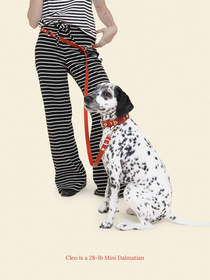 Little Beast Dog Leash ONESIZE Ruby - Flower Power Leash