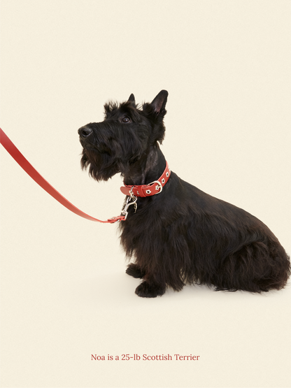 Little Beast Dog Leash ONESIZE Ruby - Flower Power Leash