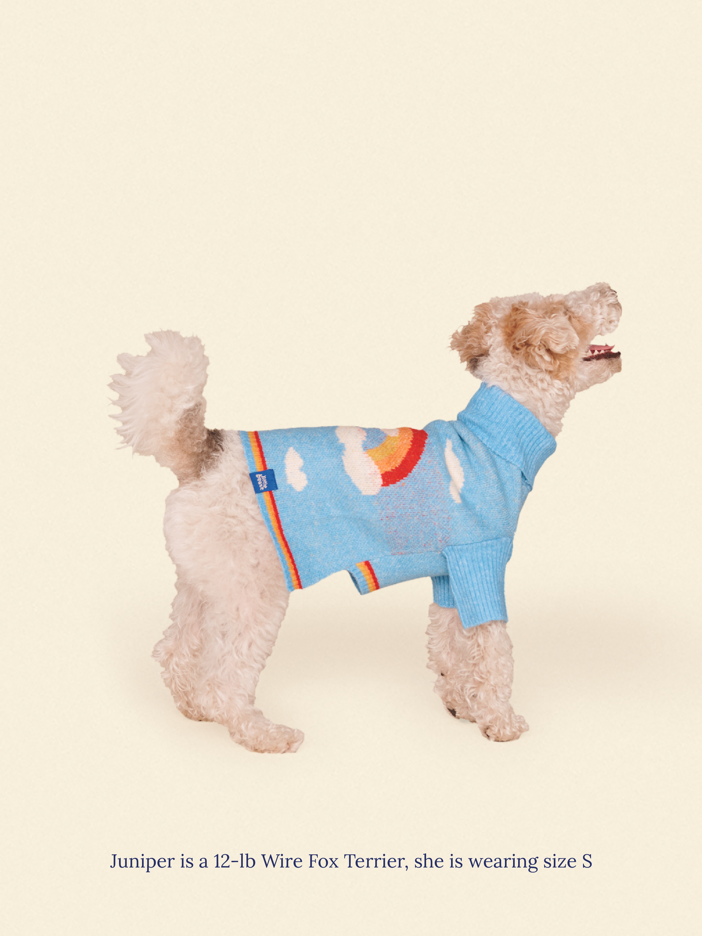 Little Beast Dog Sweater Silver Linings 2 Sweater