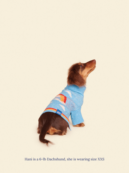 Little Beast Dog Sweater Silver Linings 2 Sweater