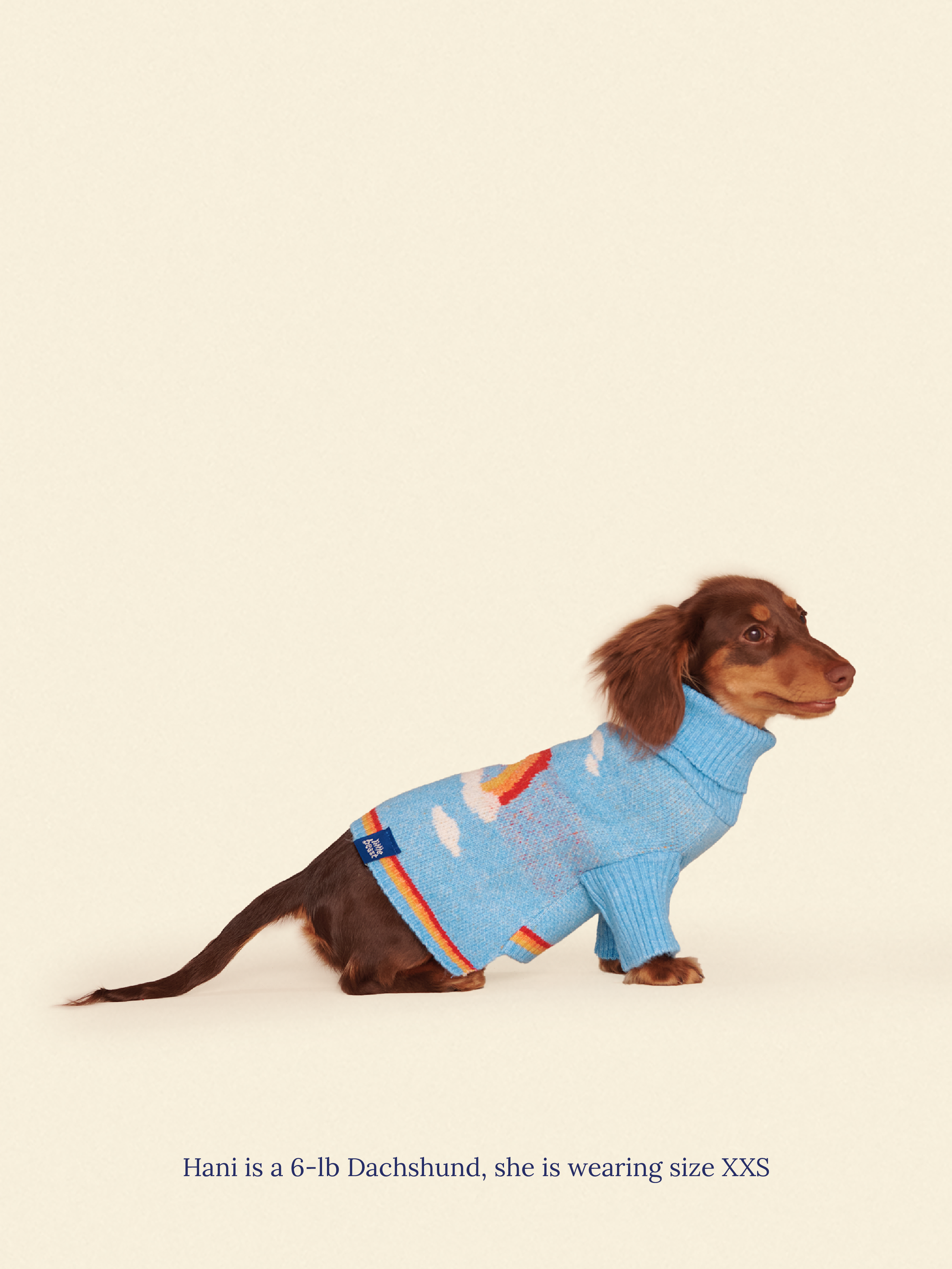 Little Beast Dog Sweater Silver Linings 2 Sweater