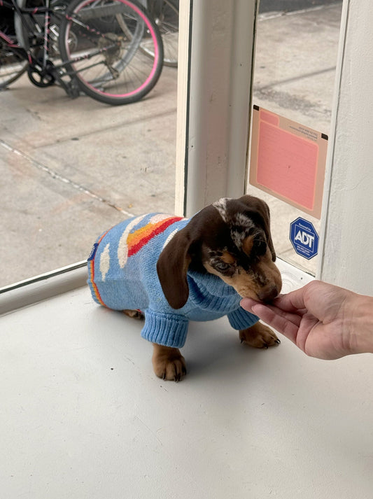 Little Beast Dog Sweater Silver Linings 2 Sweater