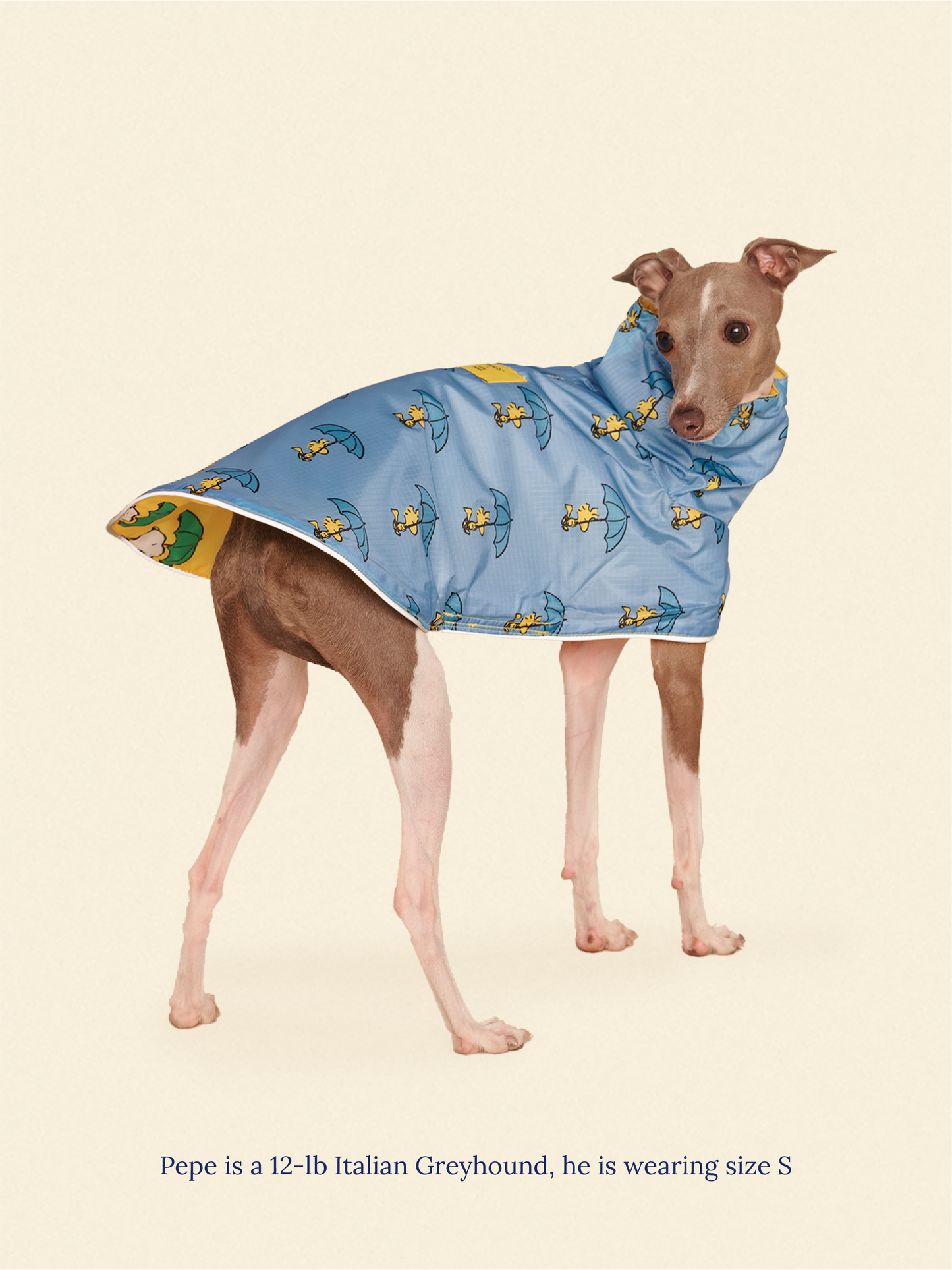 Little Beast Dog Raincoat Snoopy and Woodstock Raincoat - Navy