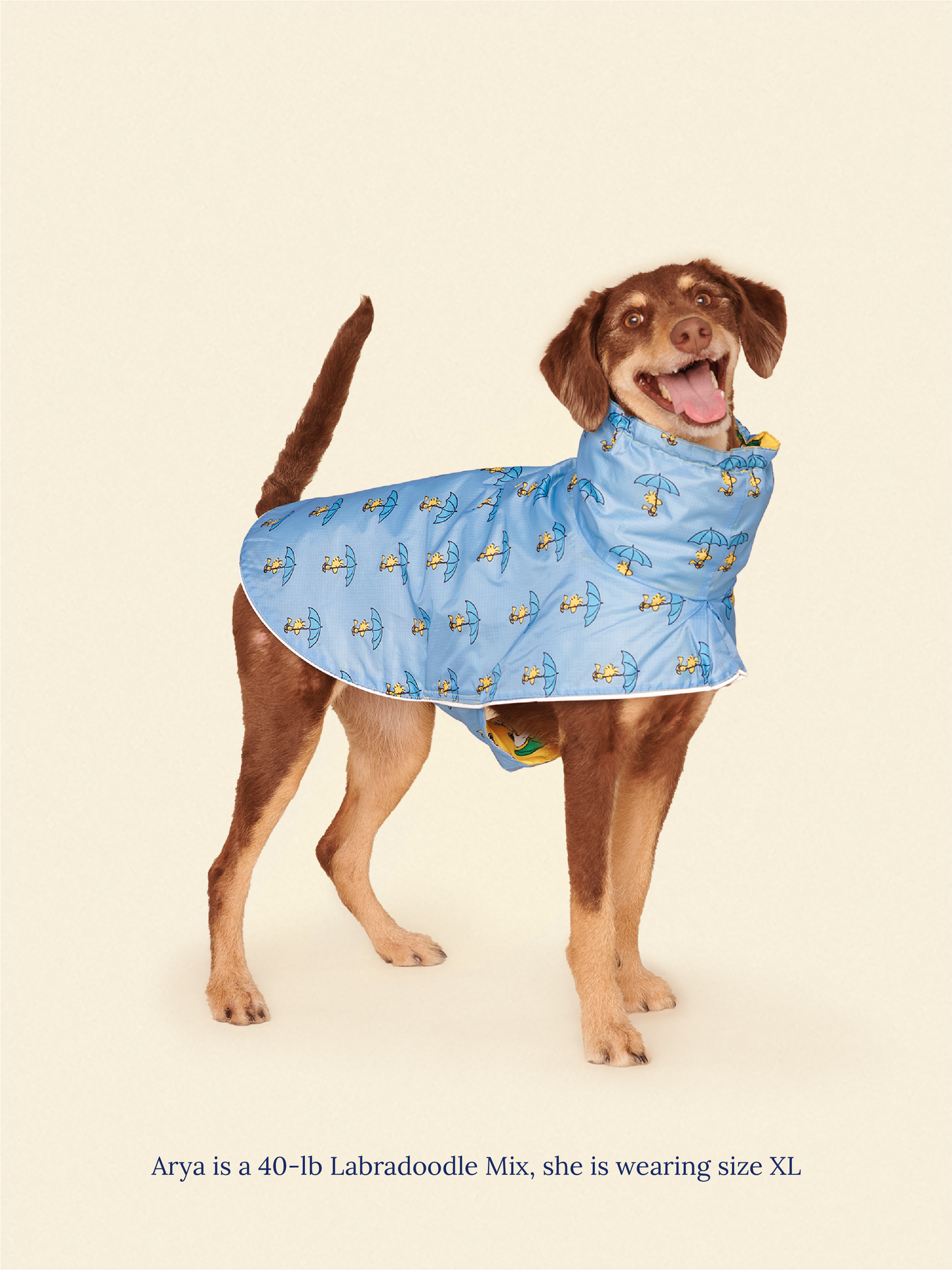 Little Beast Dog Raincoat Snoopy and Woodstock Raincoat - Navy