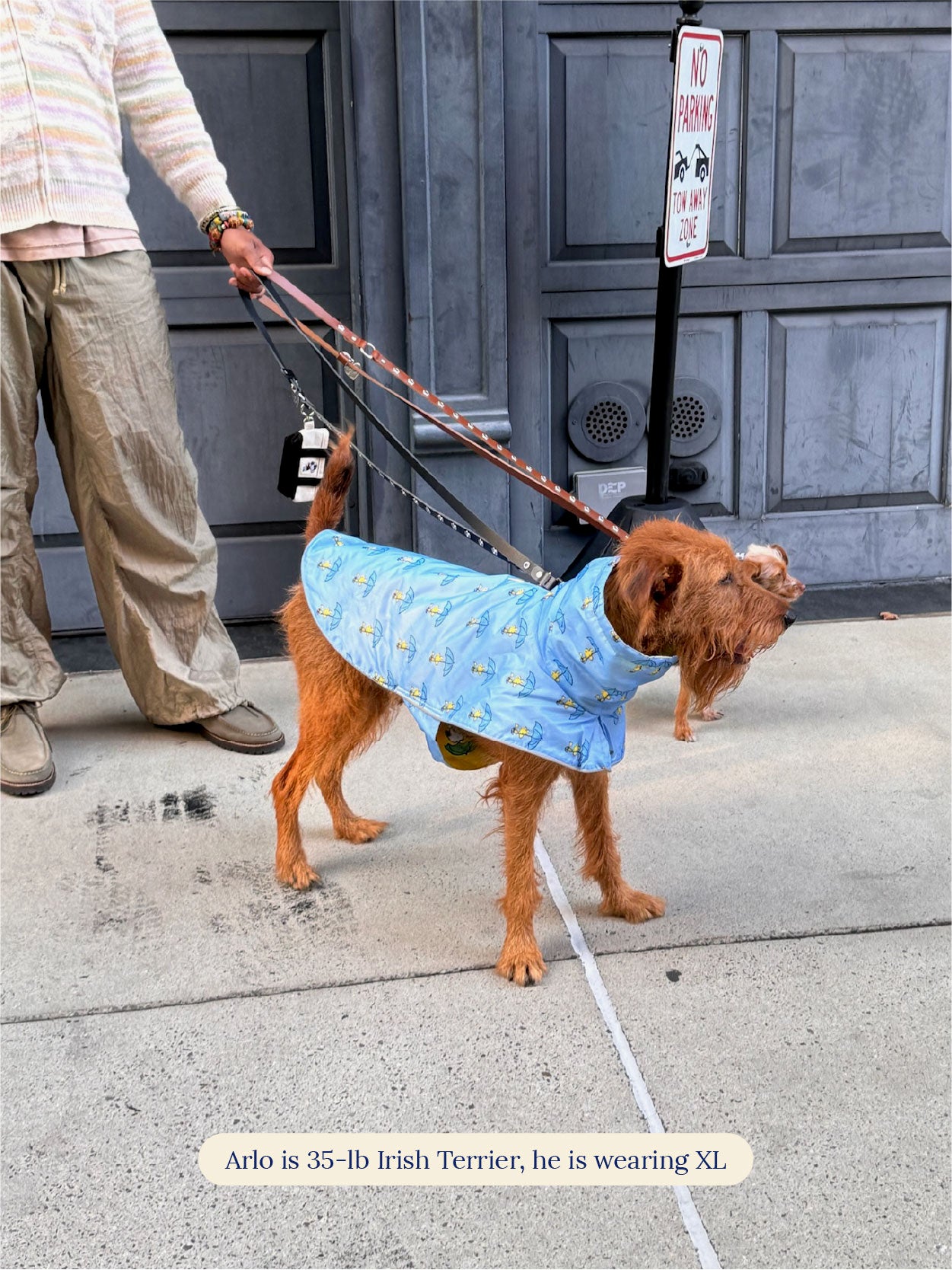 Little Beast Dog Raincoat Snoopy and Woodstock Raincoat - Navy