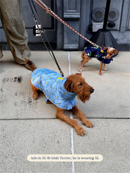 Little Beast Dog Raincoat Snoopy and Woodstock Raincoat - Navy