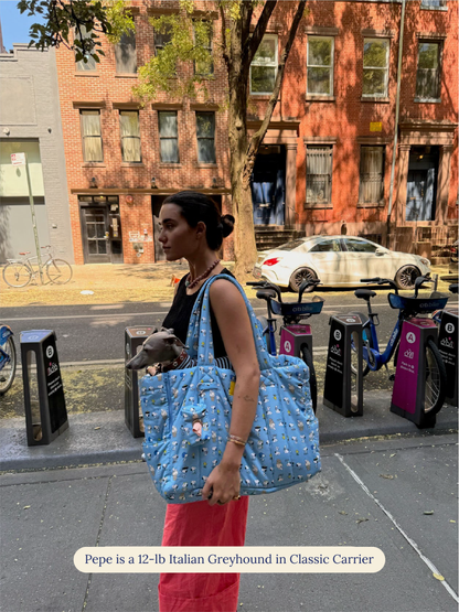 Little Beast Dog Carrier Snoopy Chillin Carrier - PEANUTS