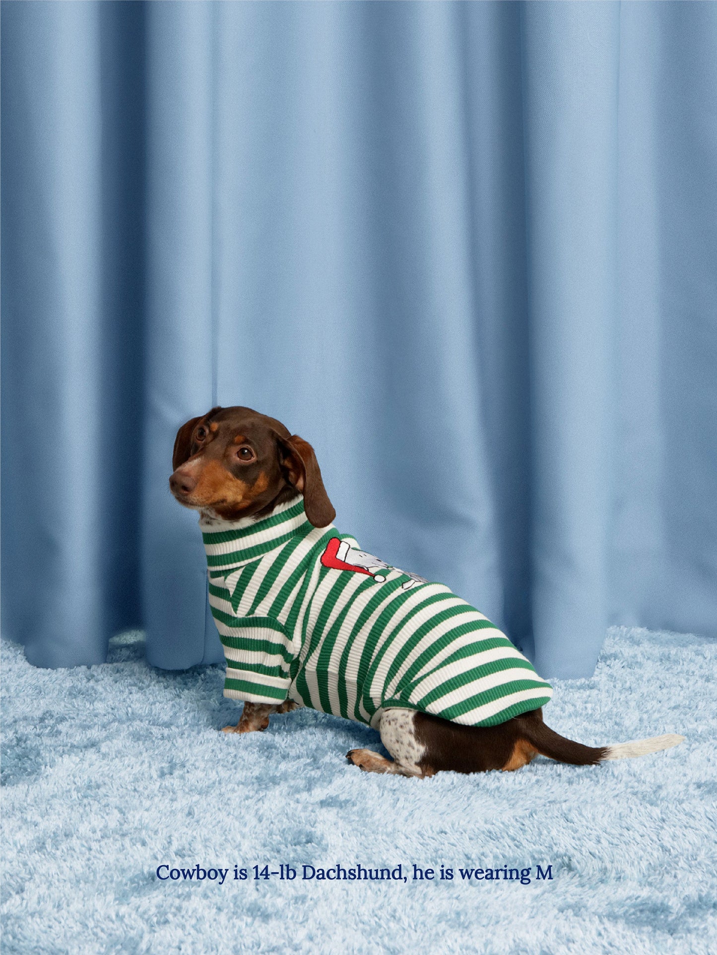 Little Beast Dog Stripe Shirt Snoopy Gift Stripe Shirt - PEANUTS