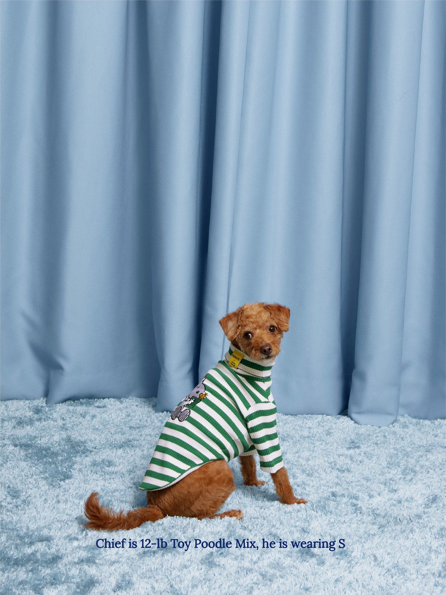Little Beast Dog Stripe Shirt Snoopy Gift Stripe Shirt - PEANUTS