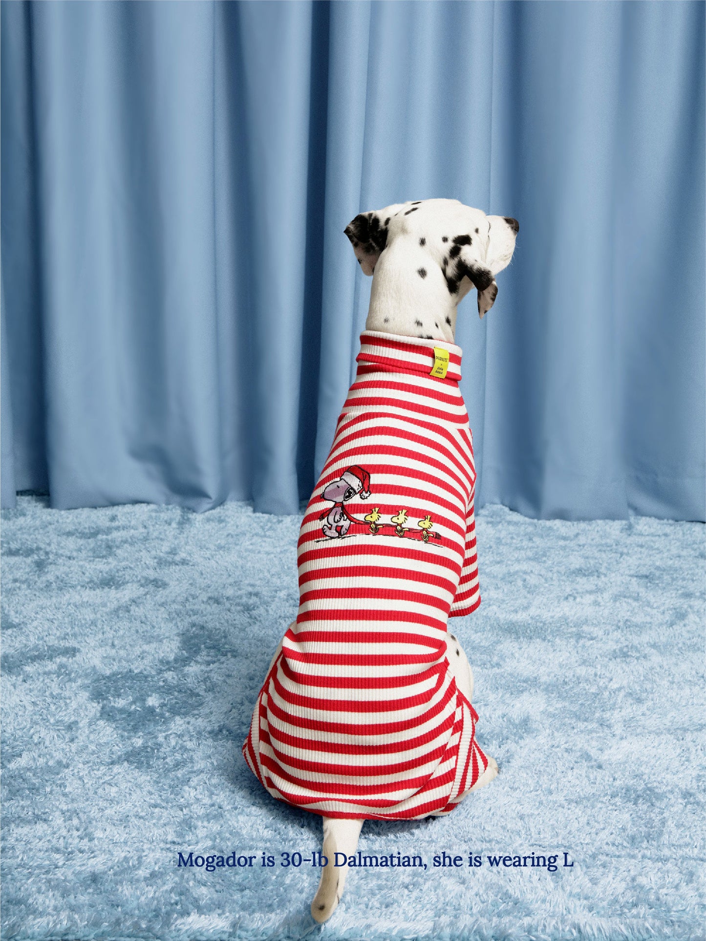 Little Beast Dog Stripe Onesie Snoopy & Woodstock Stripe Onesie - PEANUTS
