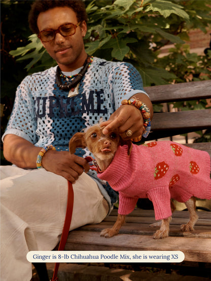 Little Beast Dog Sweater Strawberry Sweater 🍓