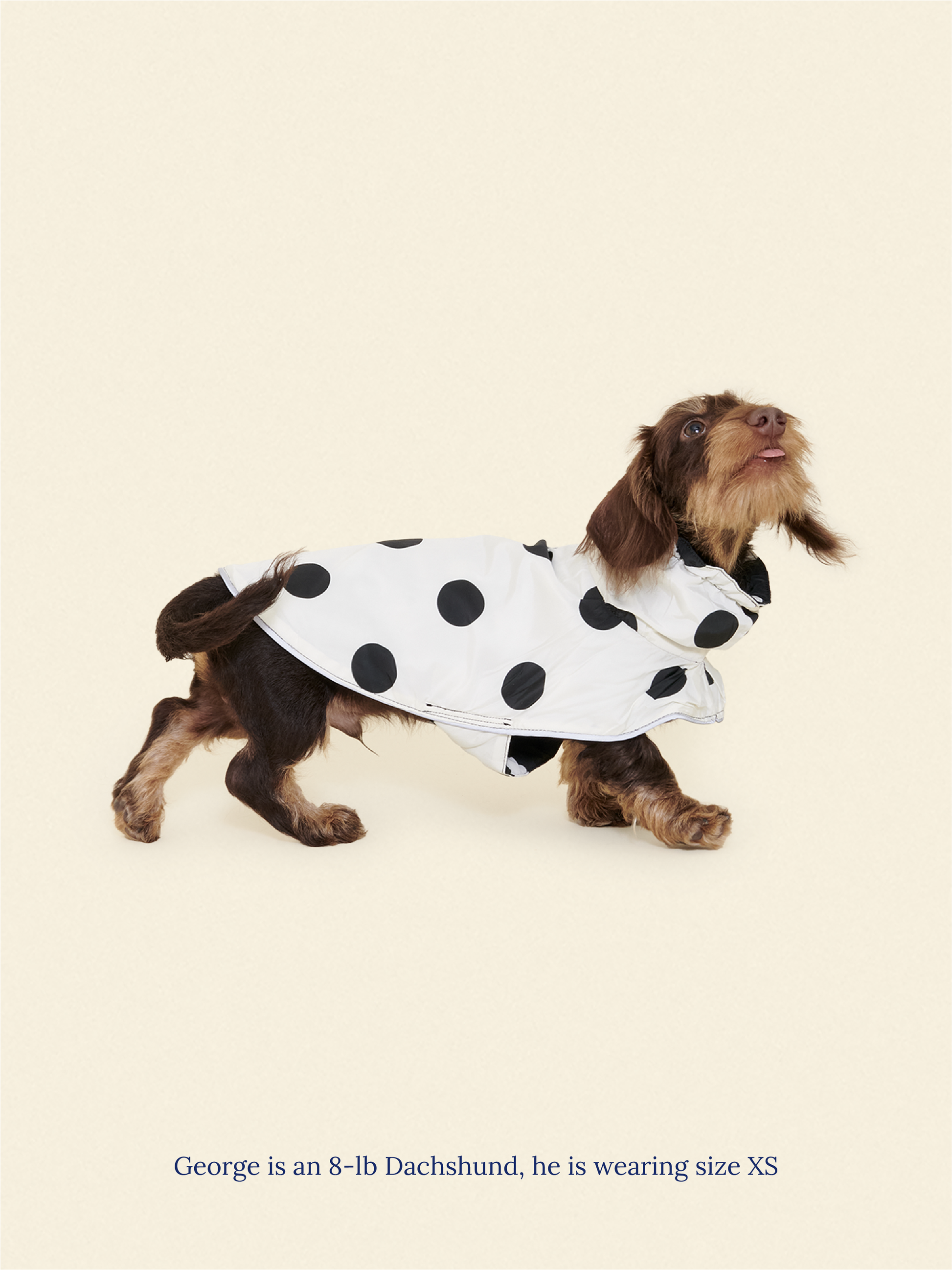 Little Beast Dog Parka The Betty Rain Jacket