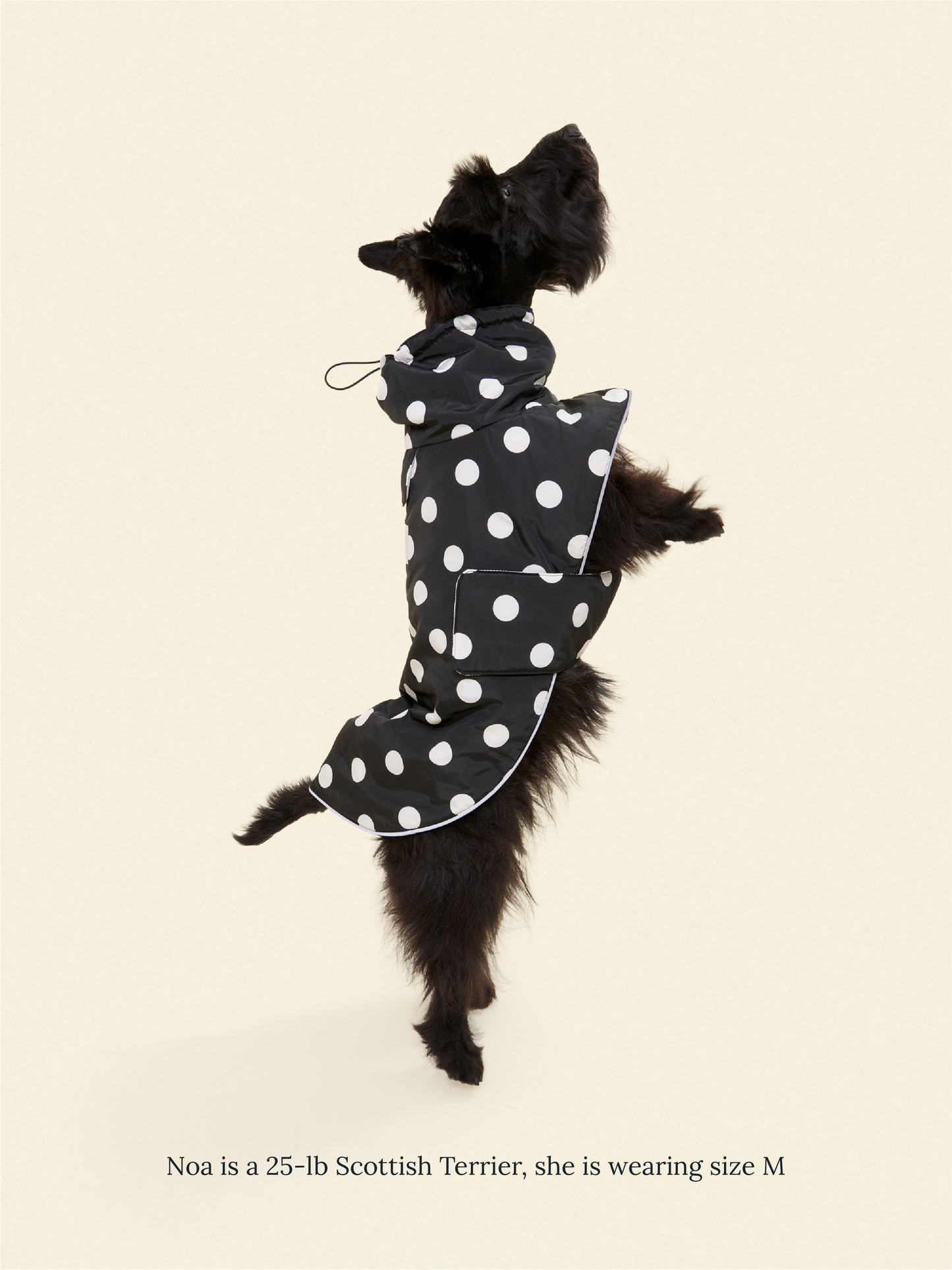 Little Beast Dog Parka The Betty Rain Jacket