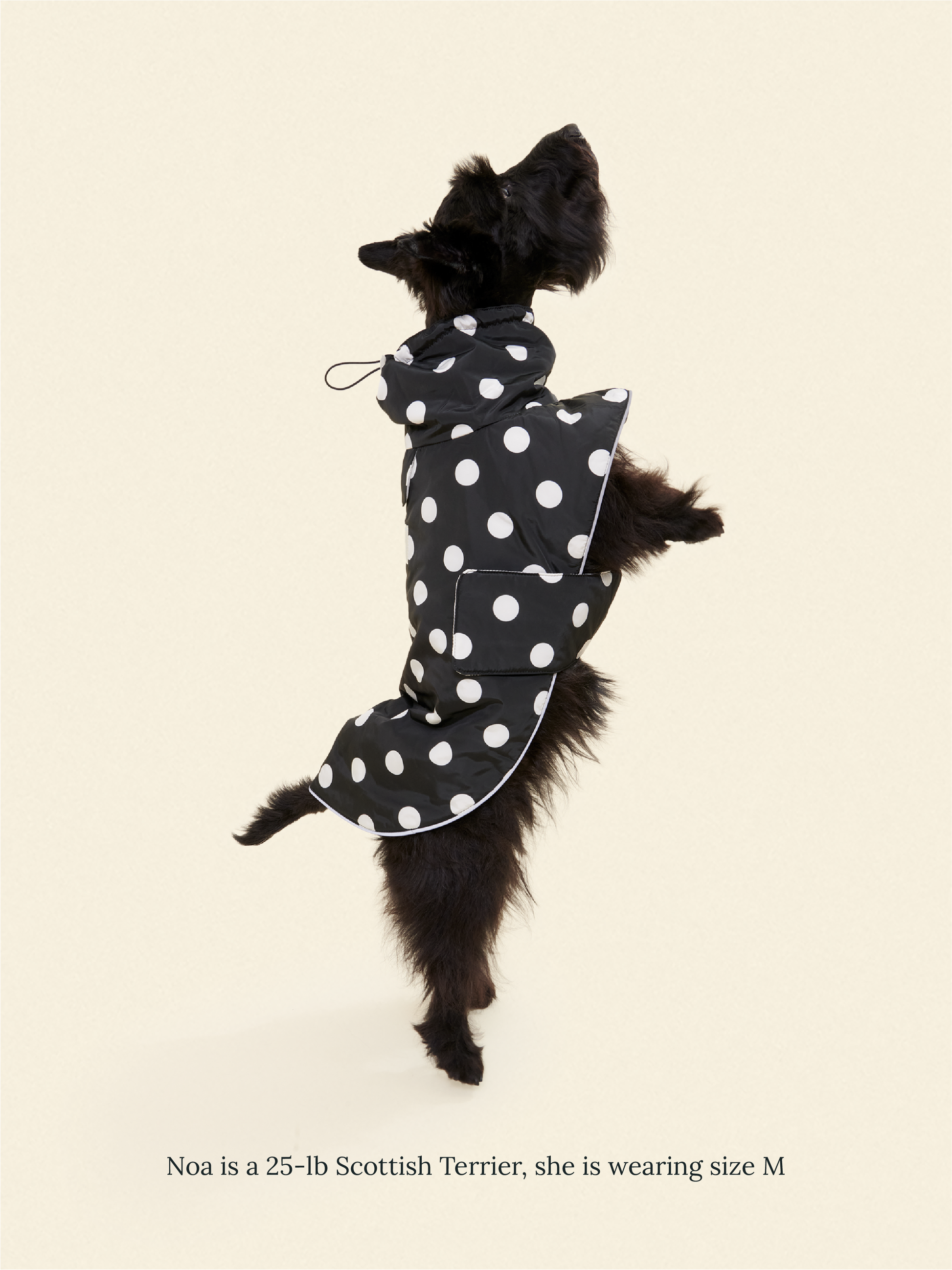 Little Beast Dog Parka The Betty Rain Jacket