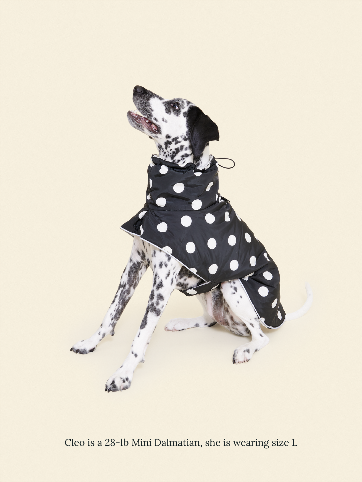 Little Beast Dog Parka The Betty Rain Jacket