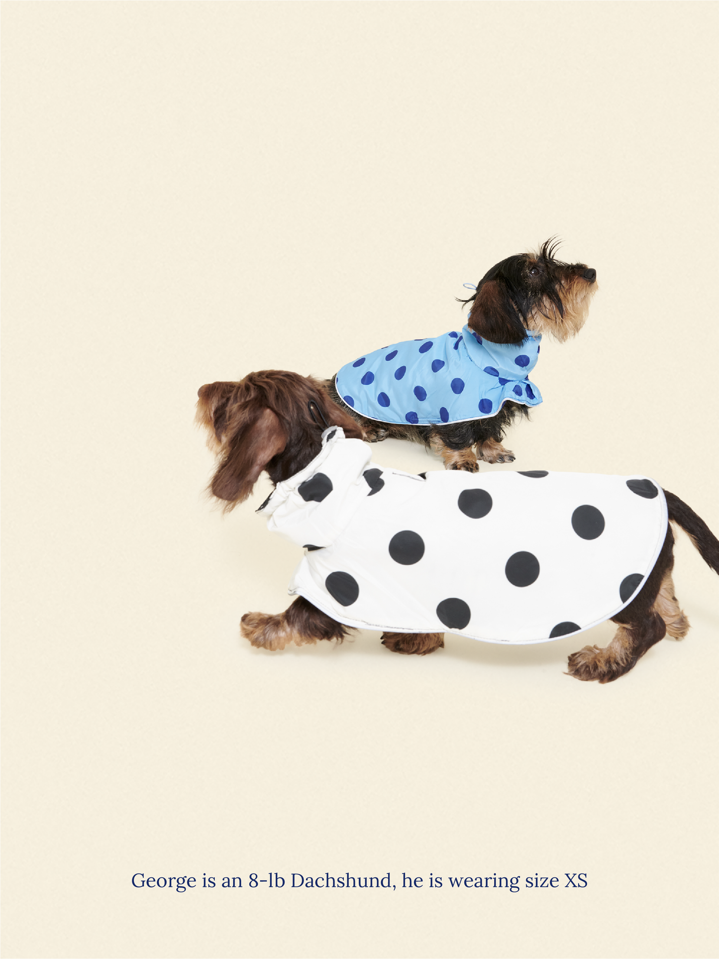 Little Beast Dog Parka The Betty Rain Jacket