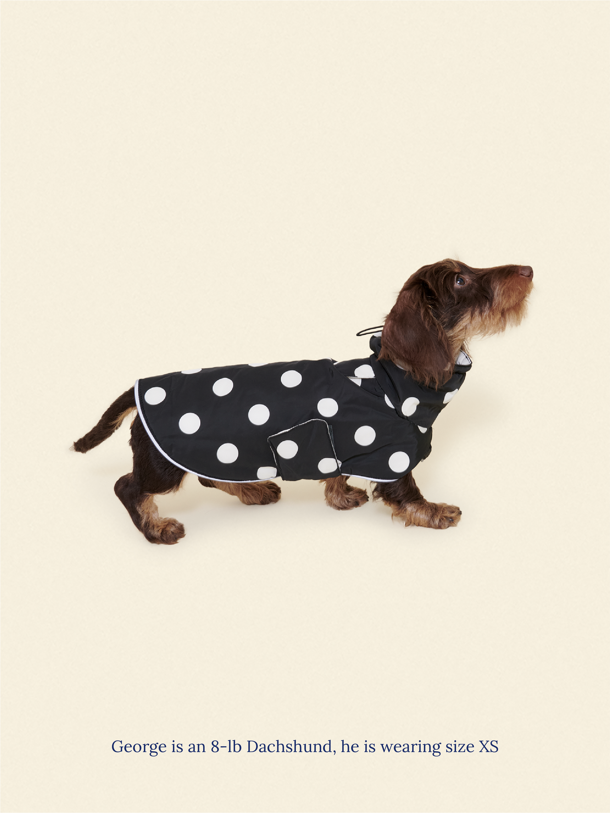 Little Beast Dog Parka The Betty Rain Jacket