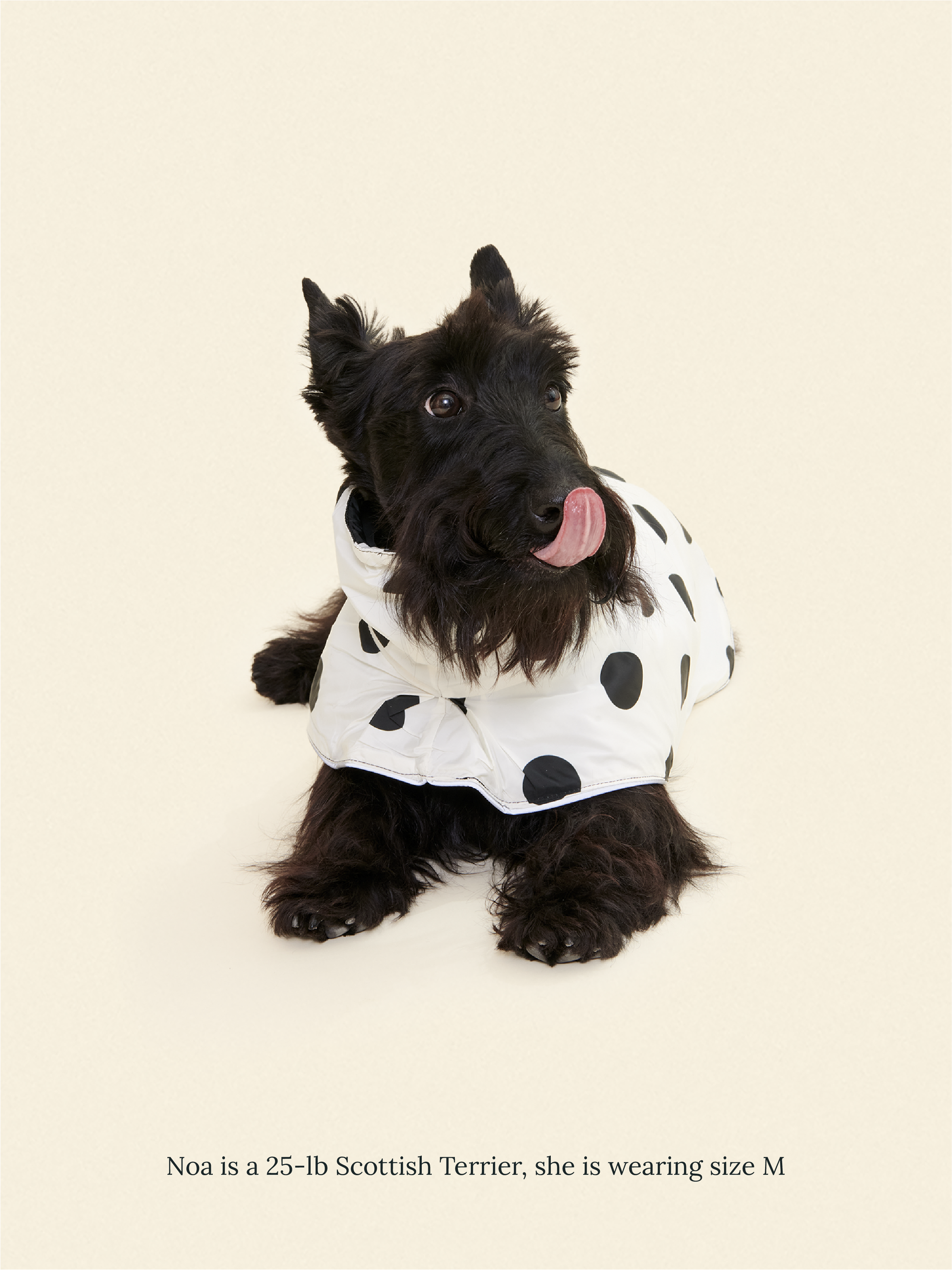 Little Beast Dog Parka The Betty Rain Jacket