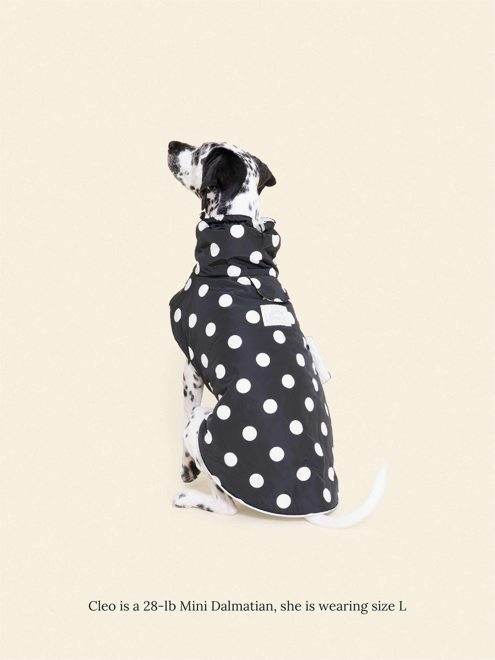 Little Beast Dog Parka The Betty Rain Jacket