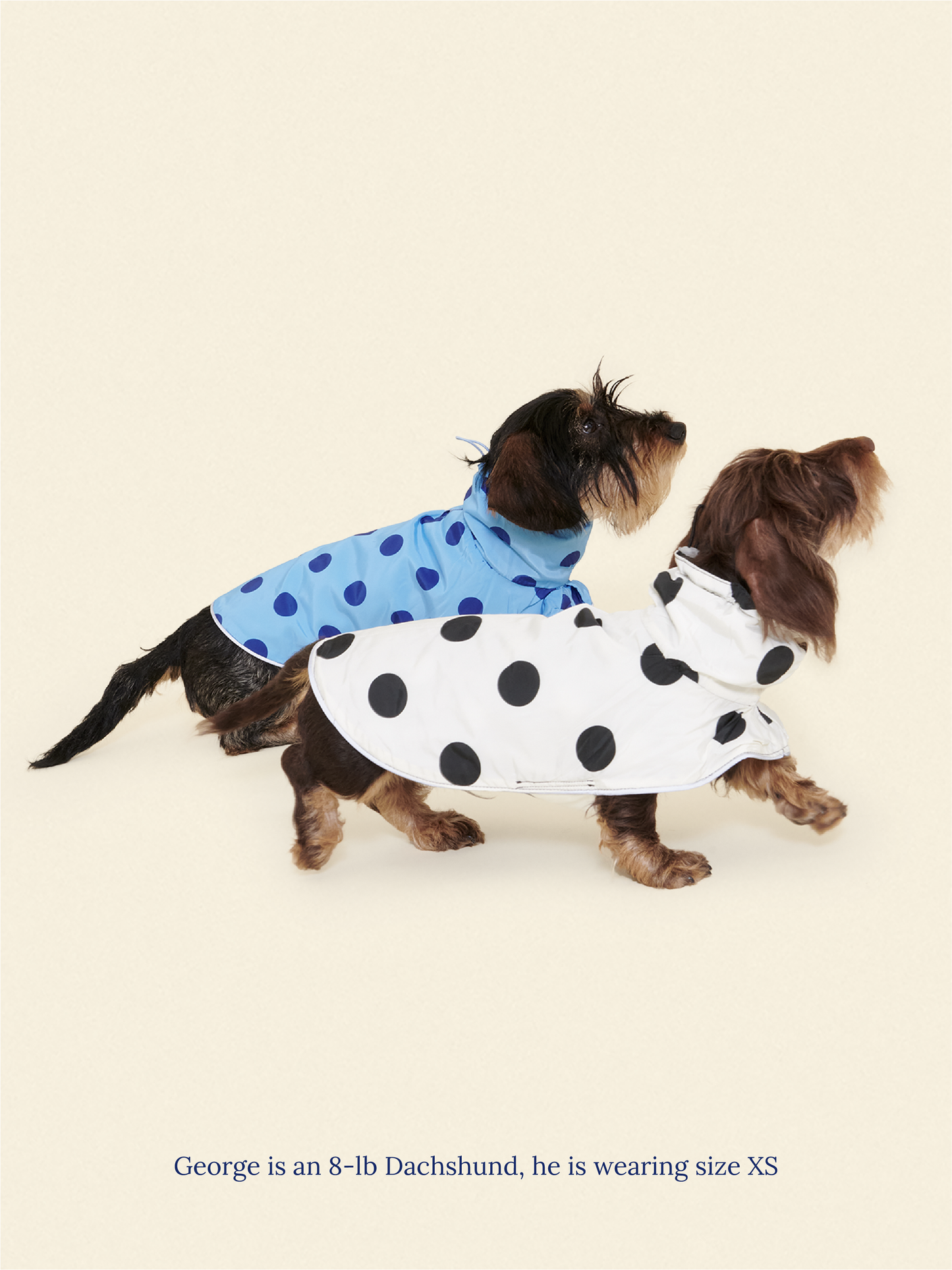 Little Beast Dog Parka The Betty Rain Jacket