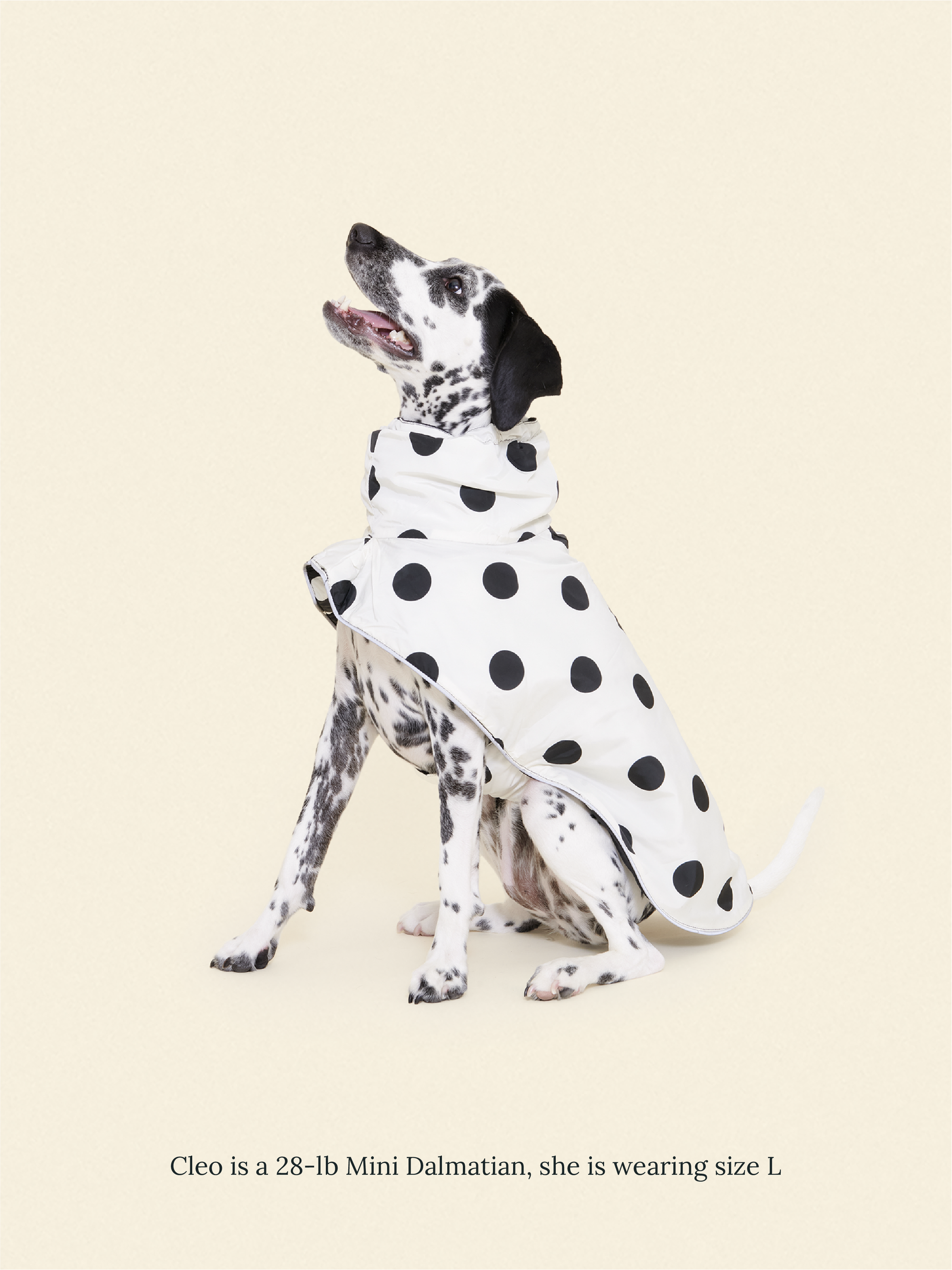Little Beast Dog Parka The Betty Rain Jacket