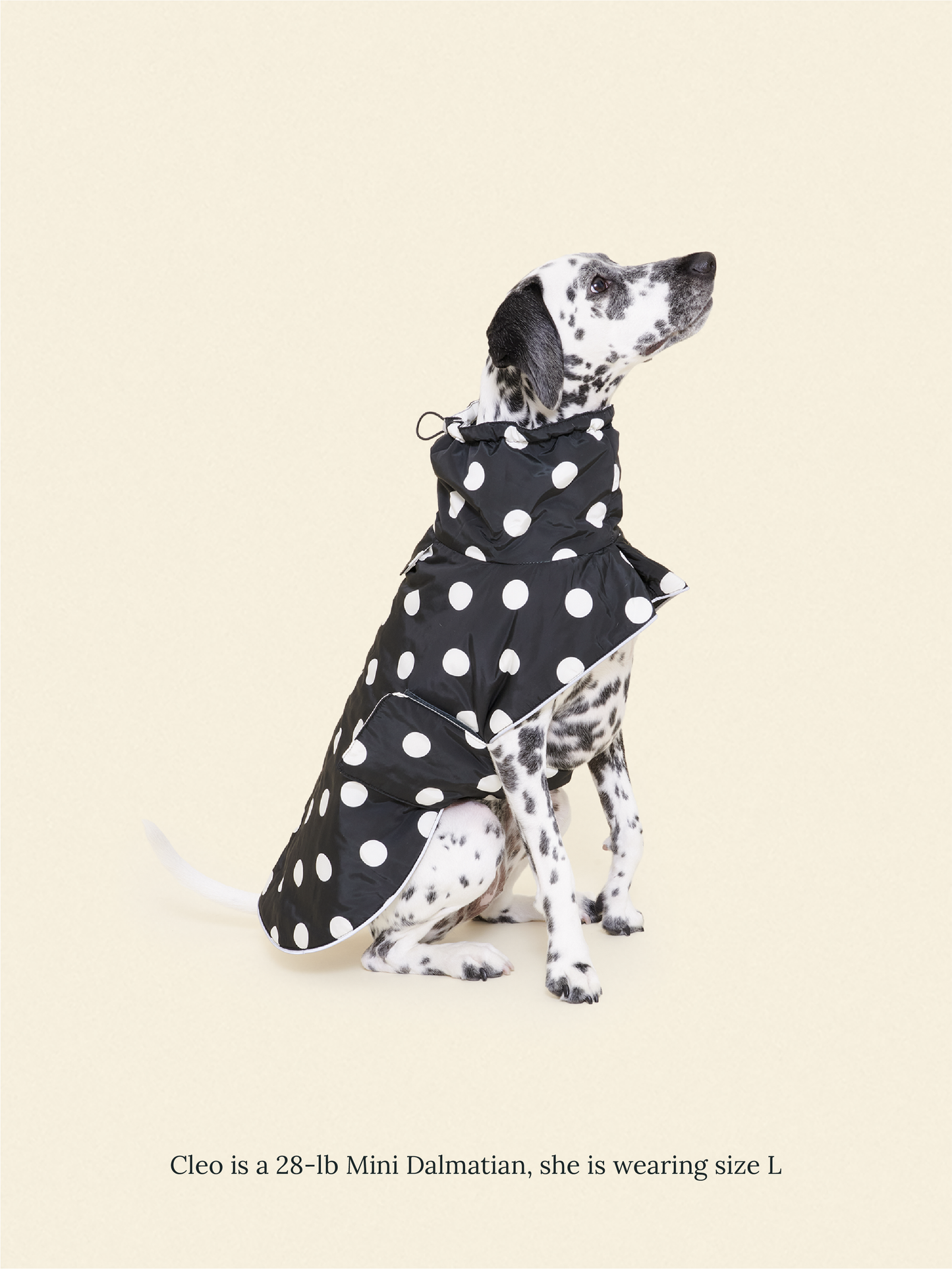 Little Beast Dog Parka The Betty Rain Jacket