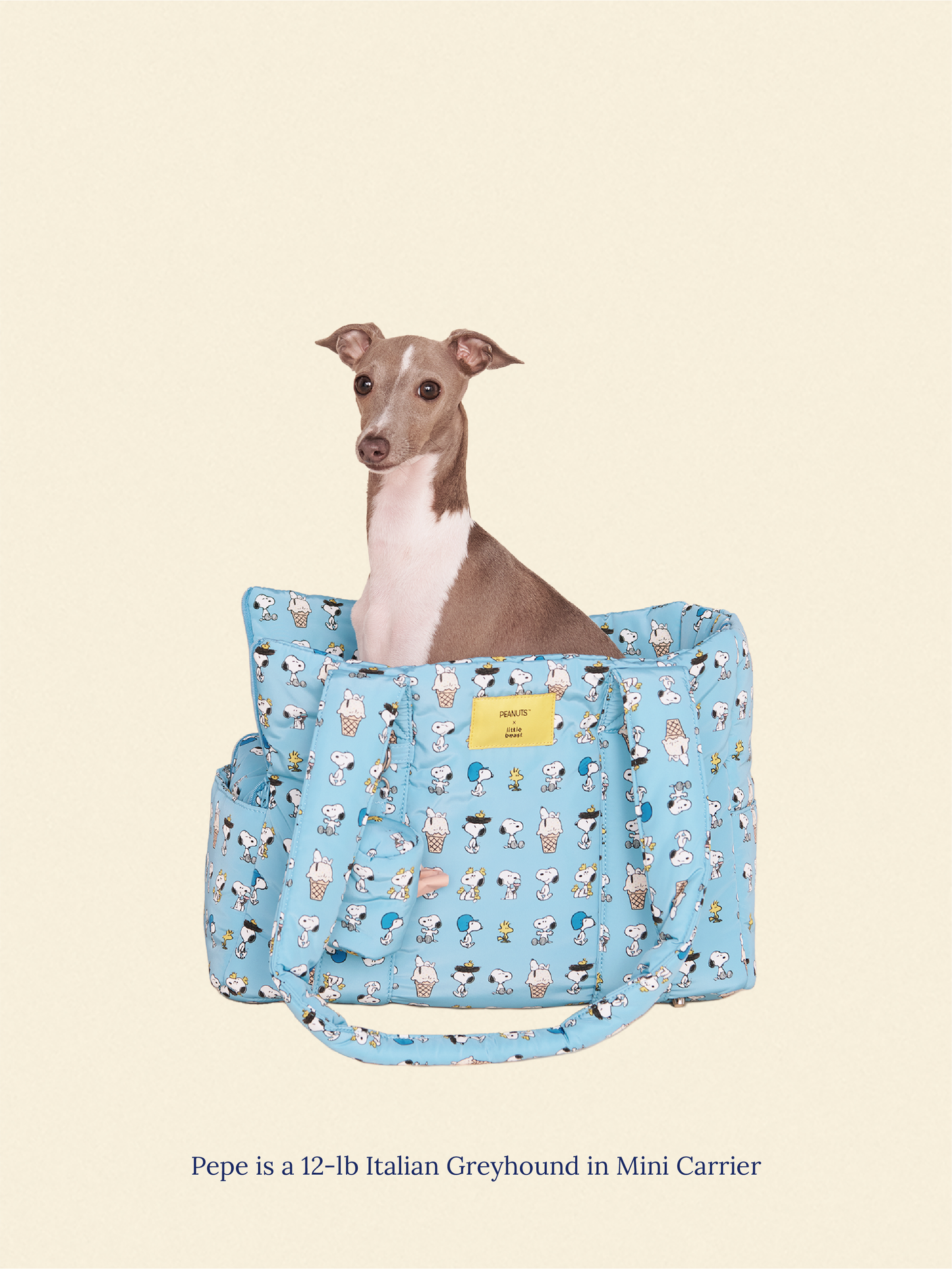 Little Beast Dog Carrier The Little Beast Carrier - Baby