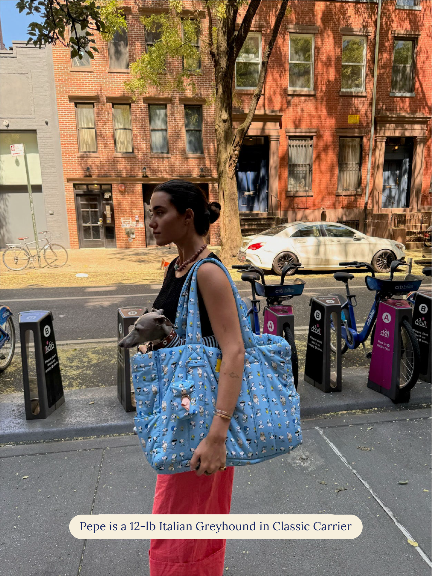 Little Beast Dog Carrier The Little Beast Carrier - Baby