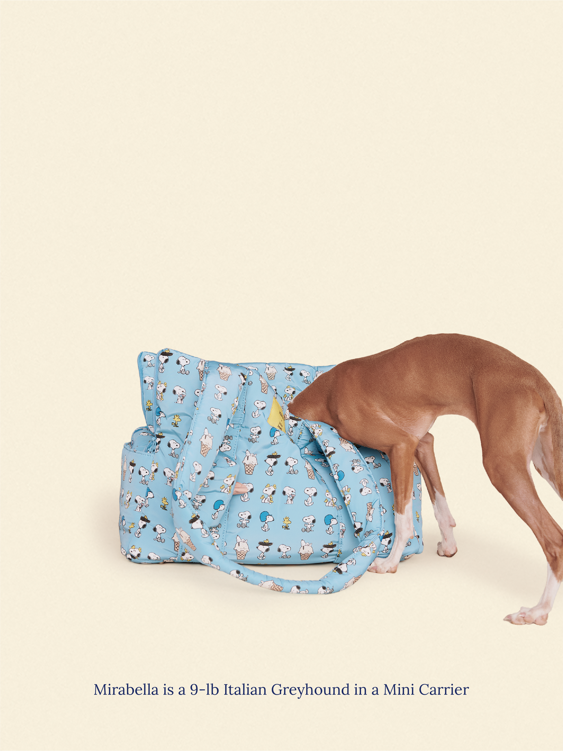 Little Beast Dog Carrier The Little Beast Carrier - Baby