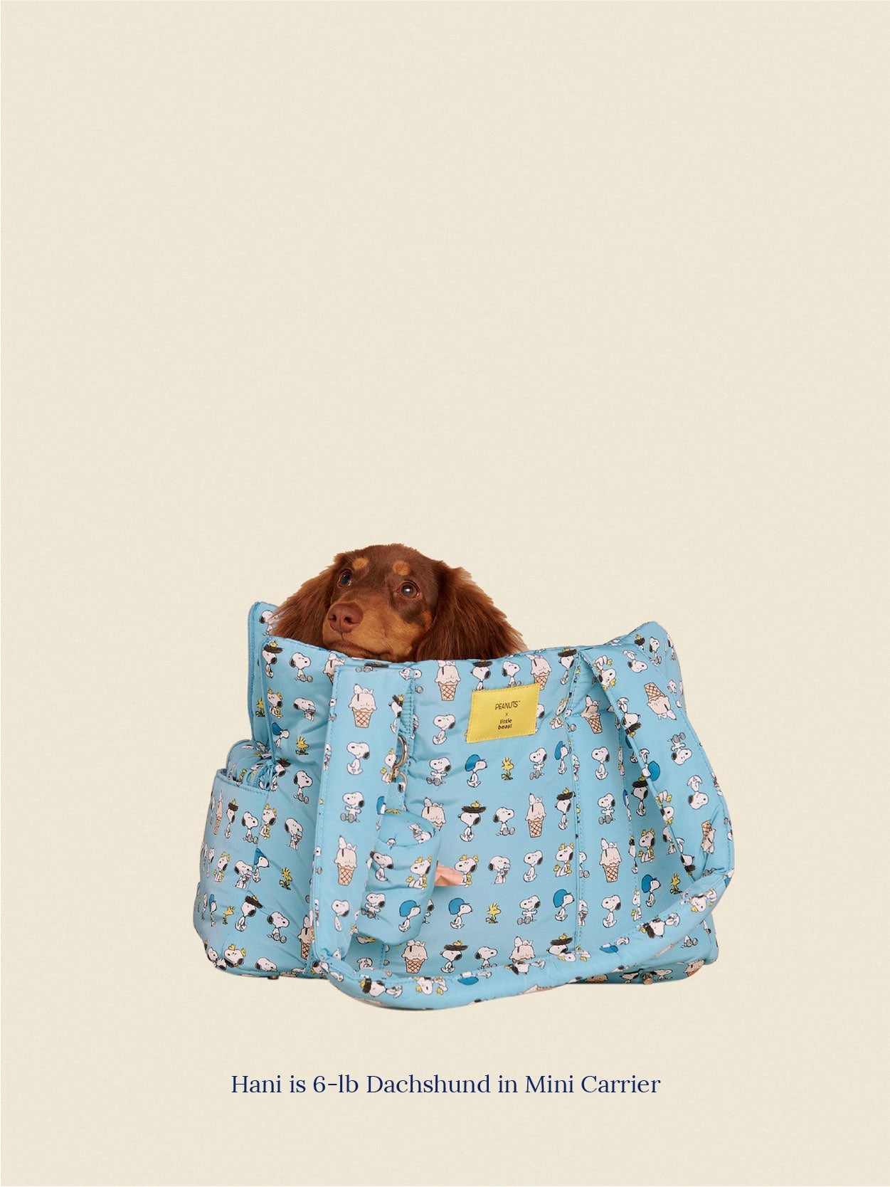 Little Beast Dog Carrier The Little Beast Carrier - Baby