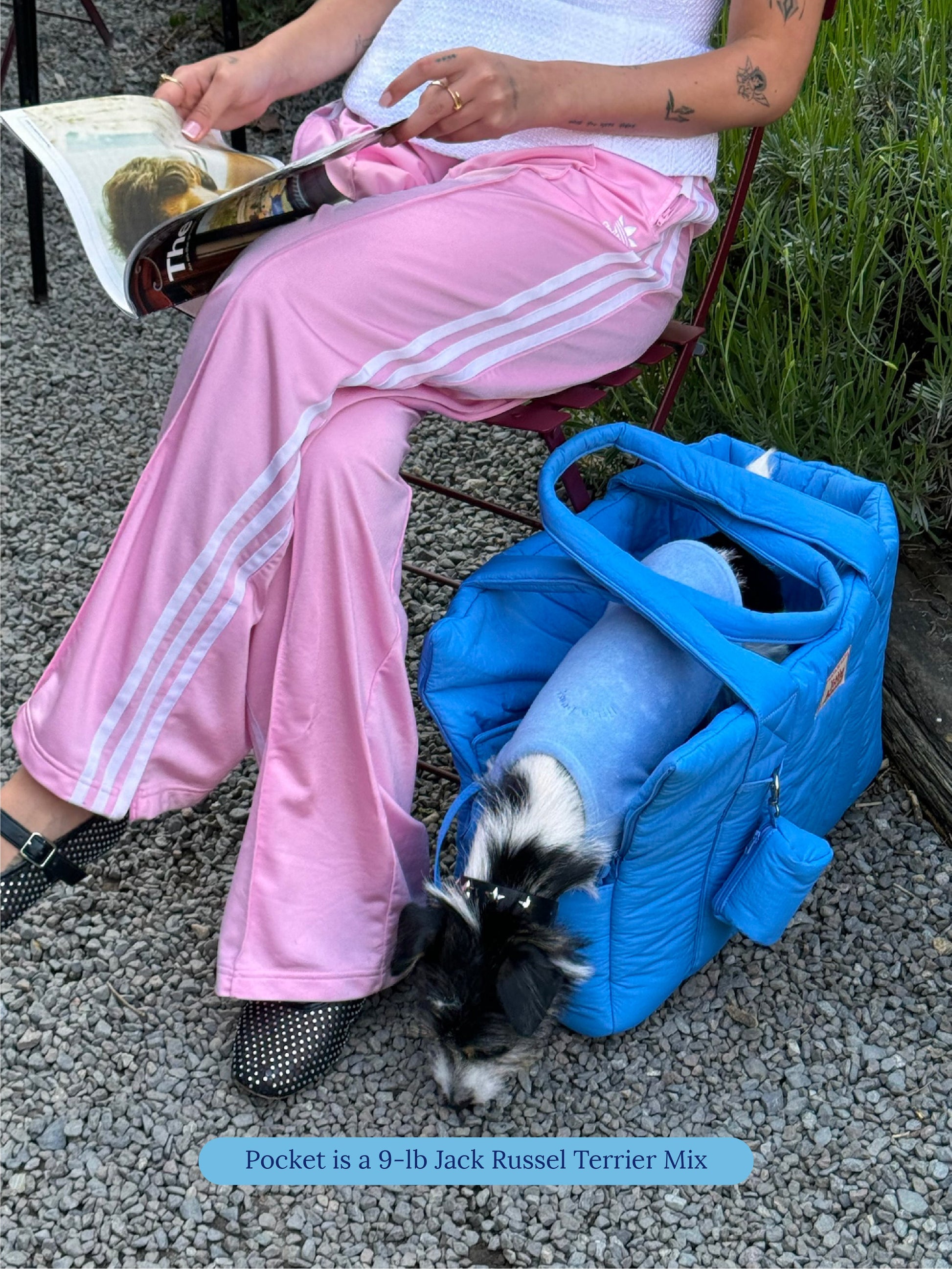 Little Beast Dog Carrier One Size The Little Beast Carrier - Baby