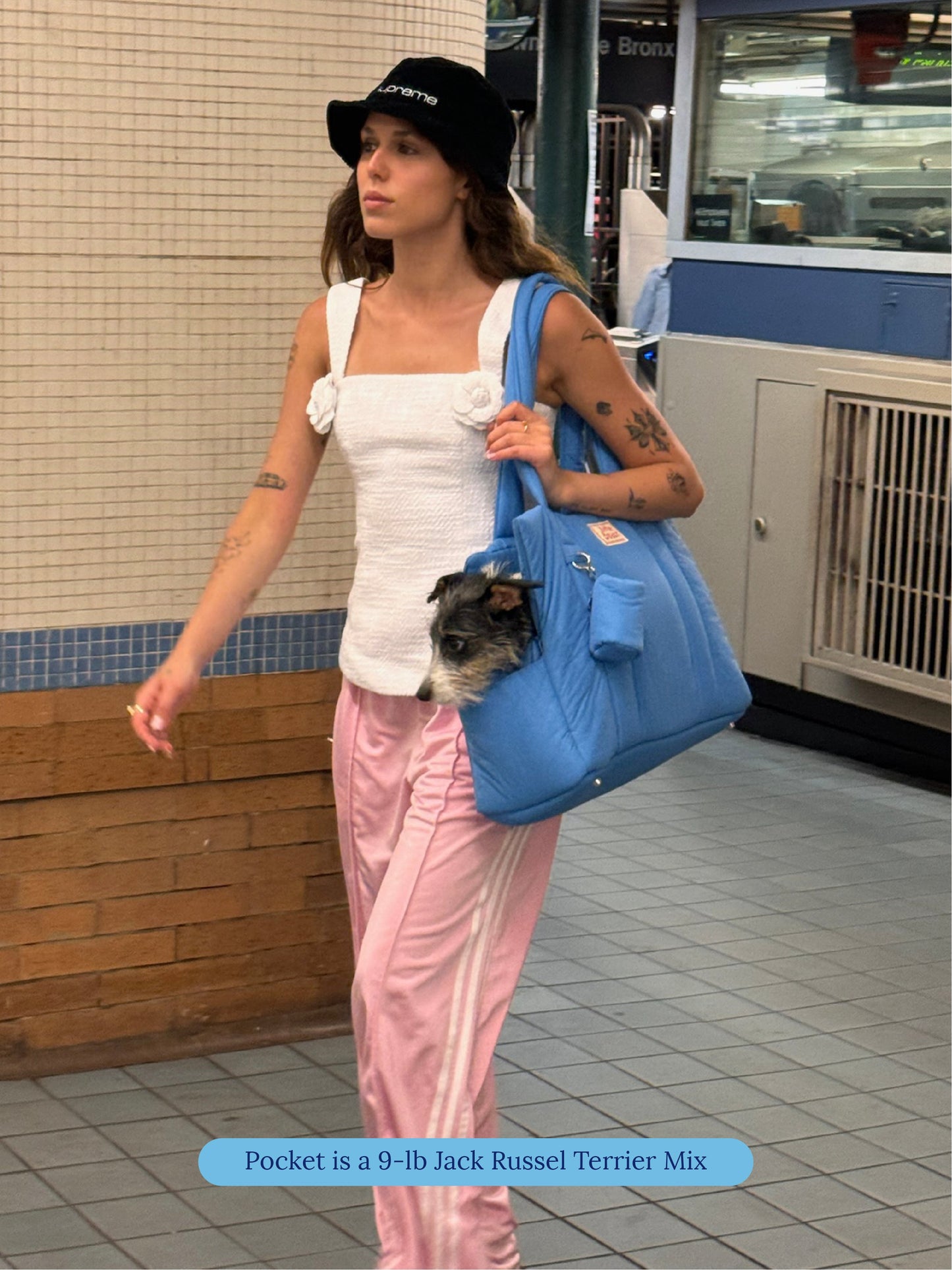 Little Beast Dog Carrier One Size The Little Beast Carrier - Baby