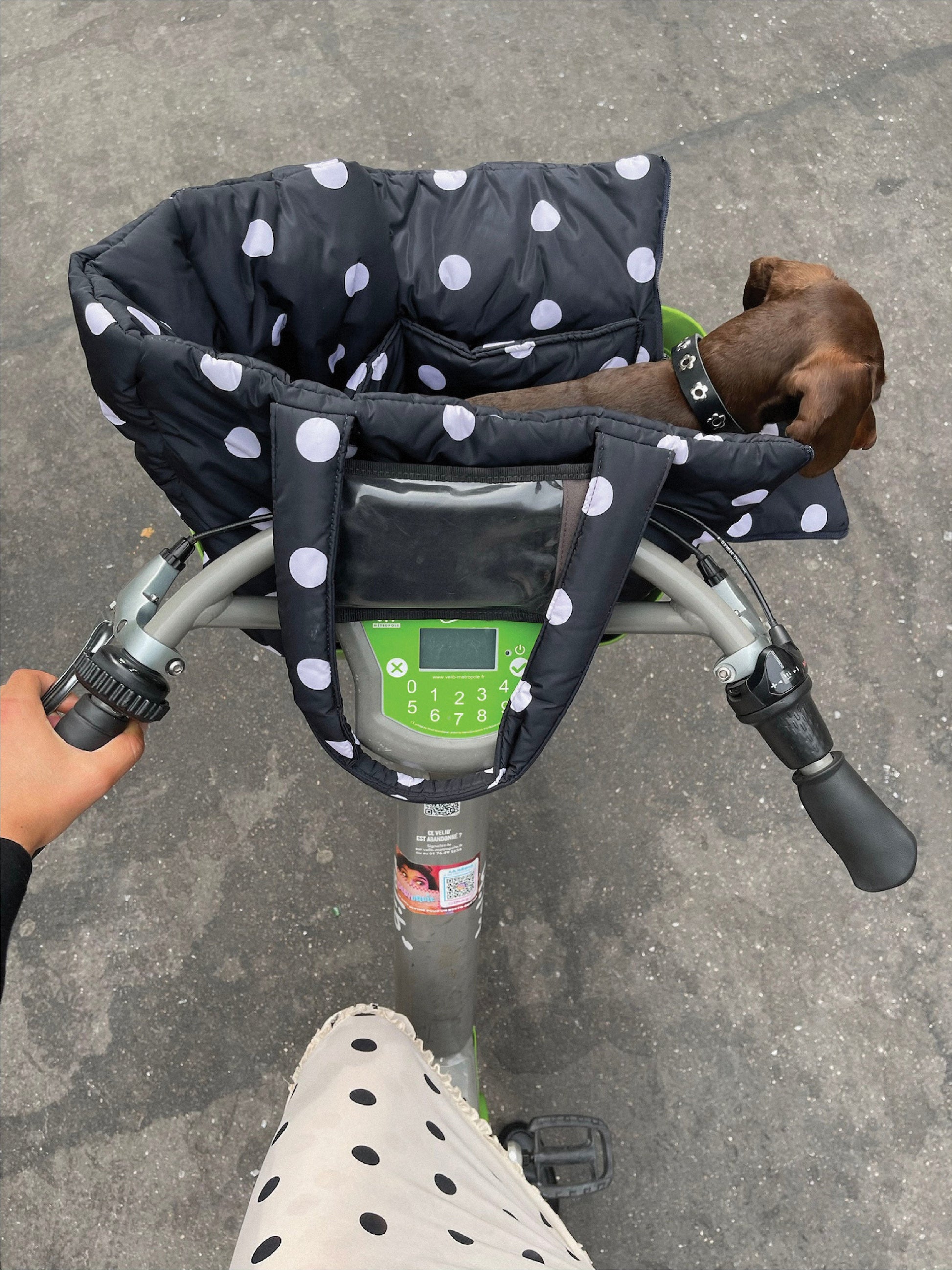 Little Beast Dog Carrier OS The Little Beast Carrier - Betty