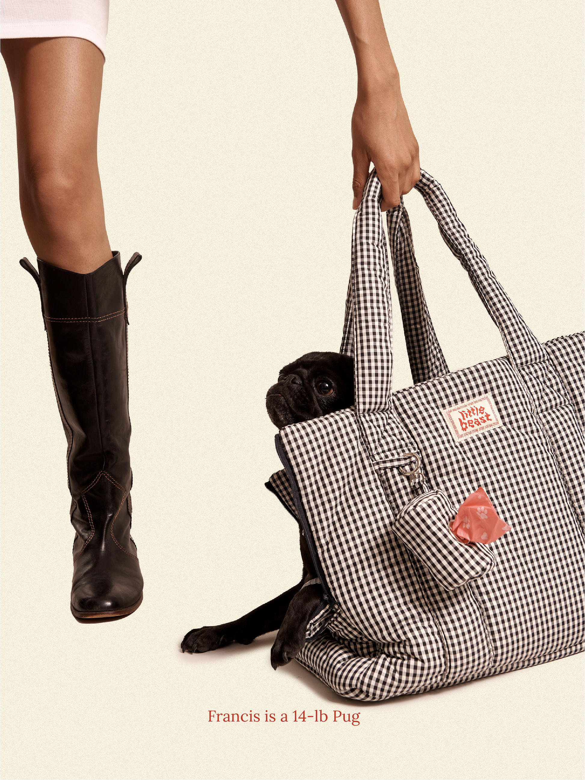 Little Beast Dog Carrier The Little Beast Carrier - Coffee Cream