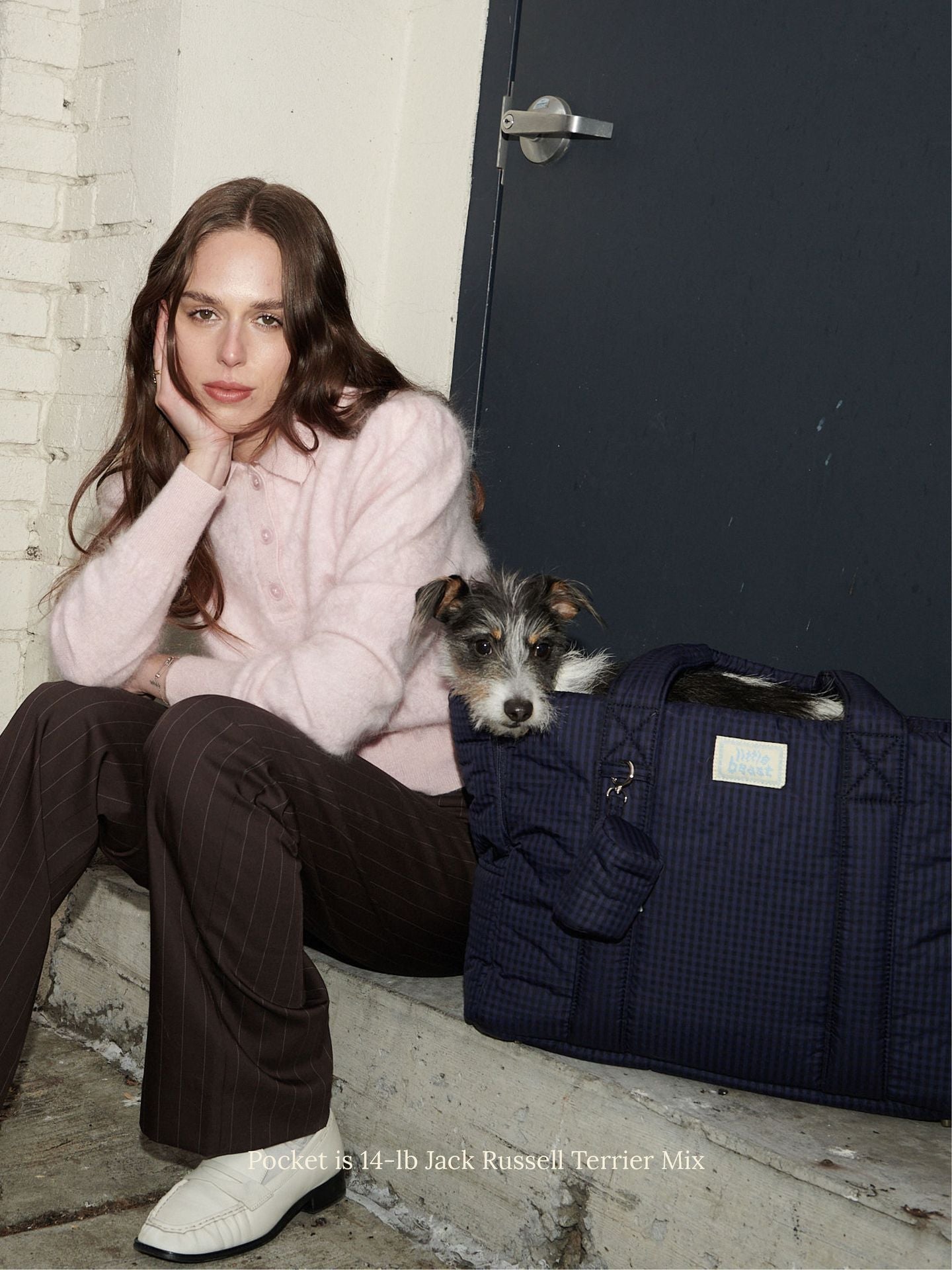 Little Beast Dog Carrier The Little Beast Carrier - Purple Haze