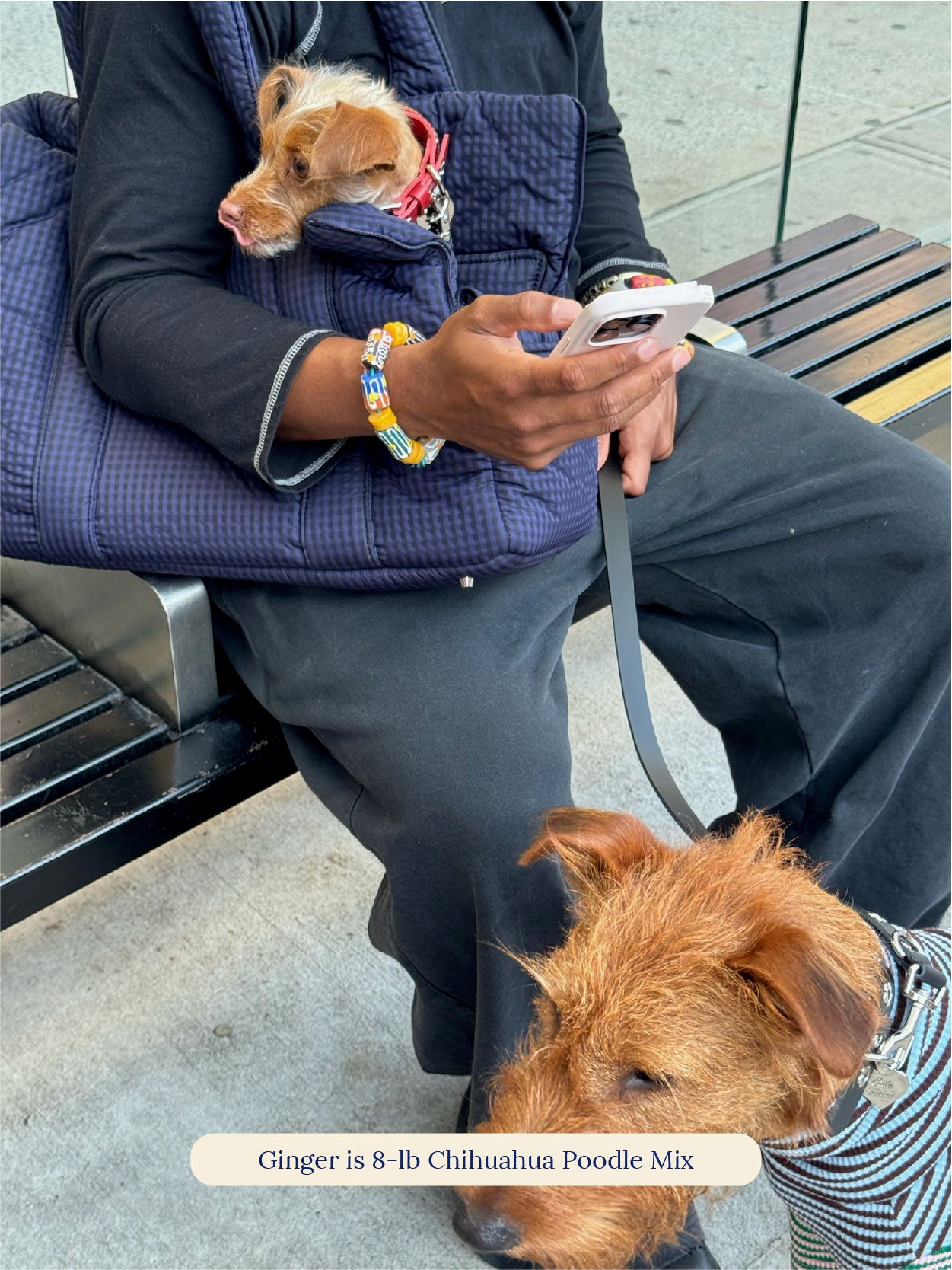 Little Beast Dog Carrier ONE SIZE The Little Beast Carrier - Purple Haze