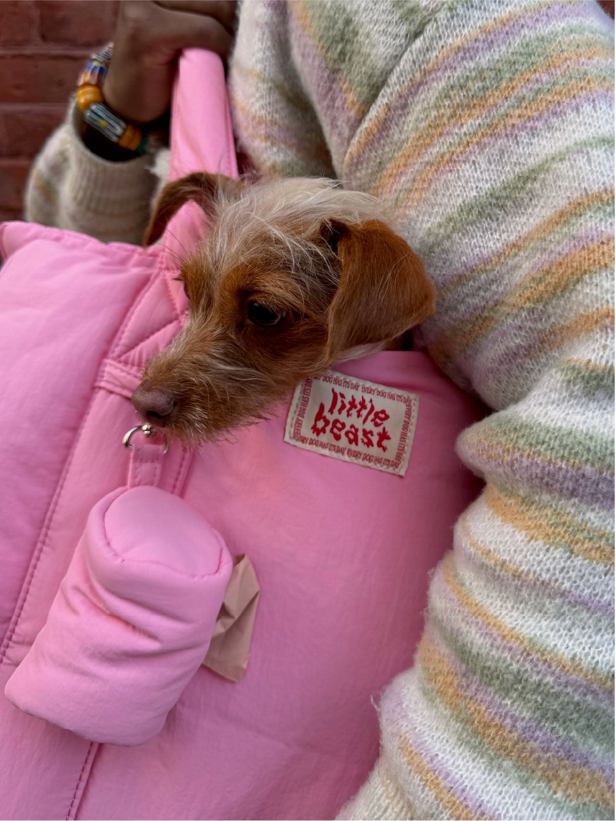 Little Beast Dog Carrier The Little Beast Carrier - Rosé