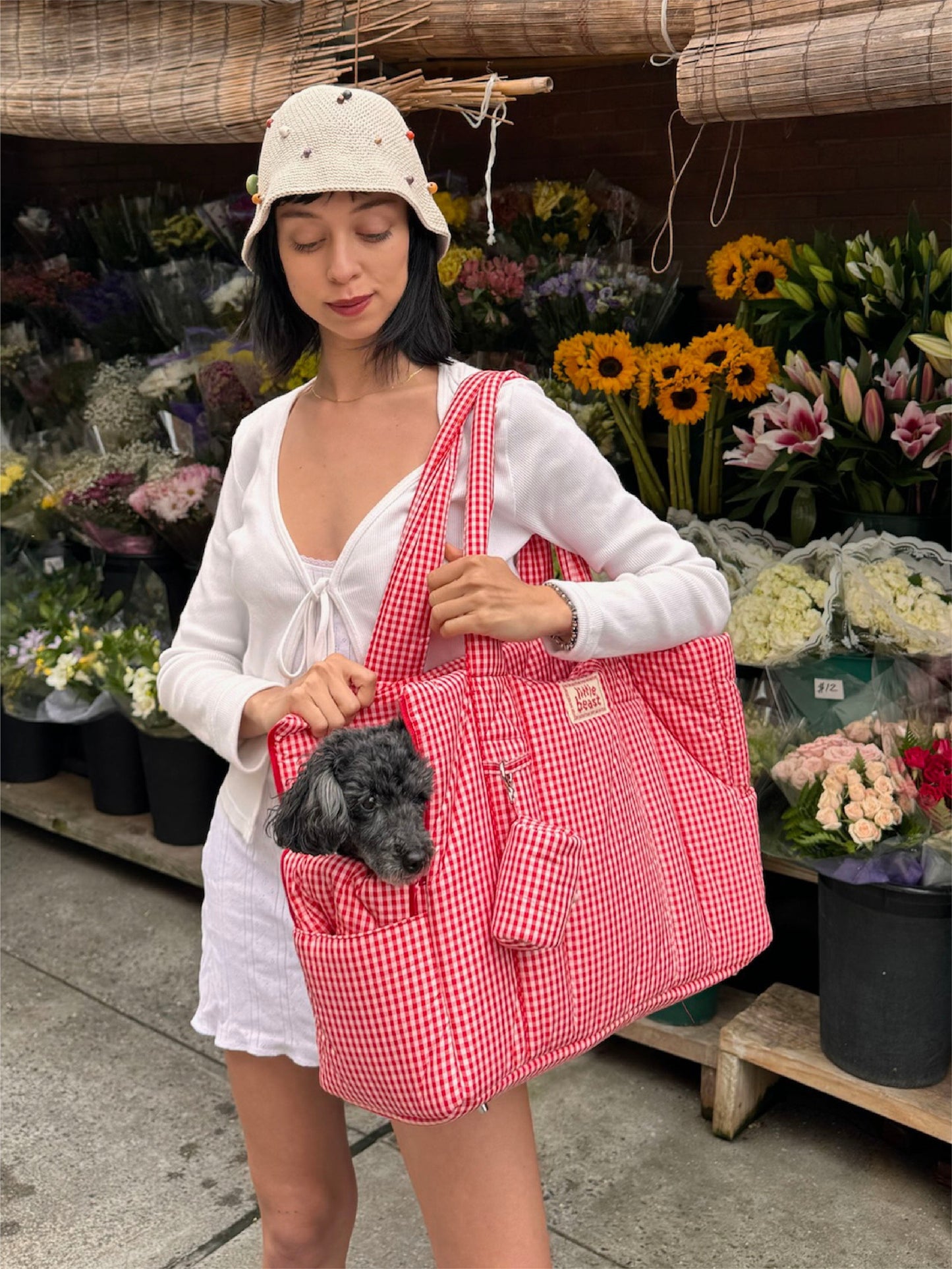 Little Beast Dog Carrier One Size The Little Beast Carrier - Strawberry